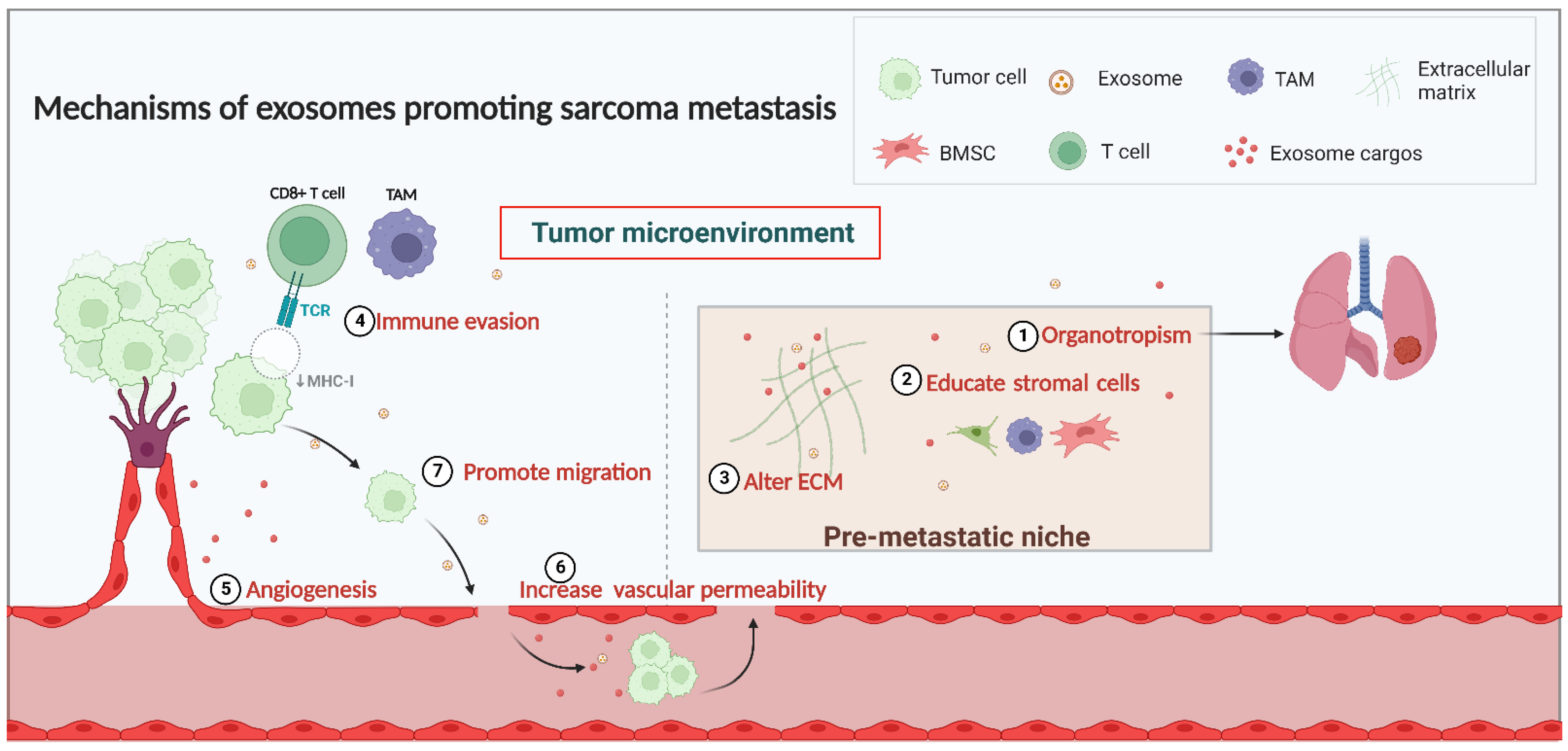 Biomolecules 13 00456 g001