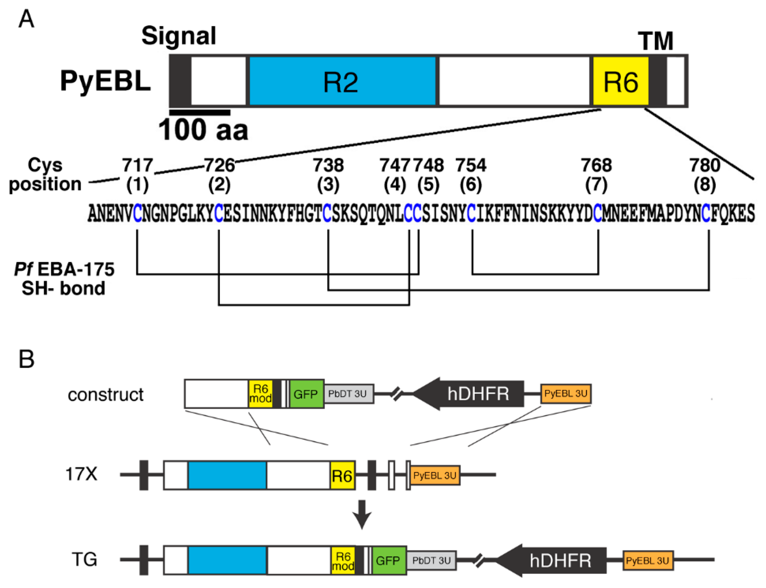 Biomolecules 13 00458 g001 Biomolecules 13 00458 g001