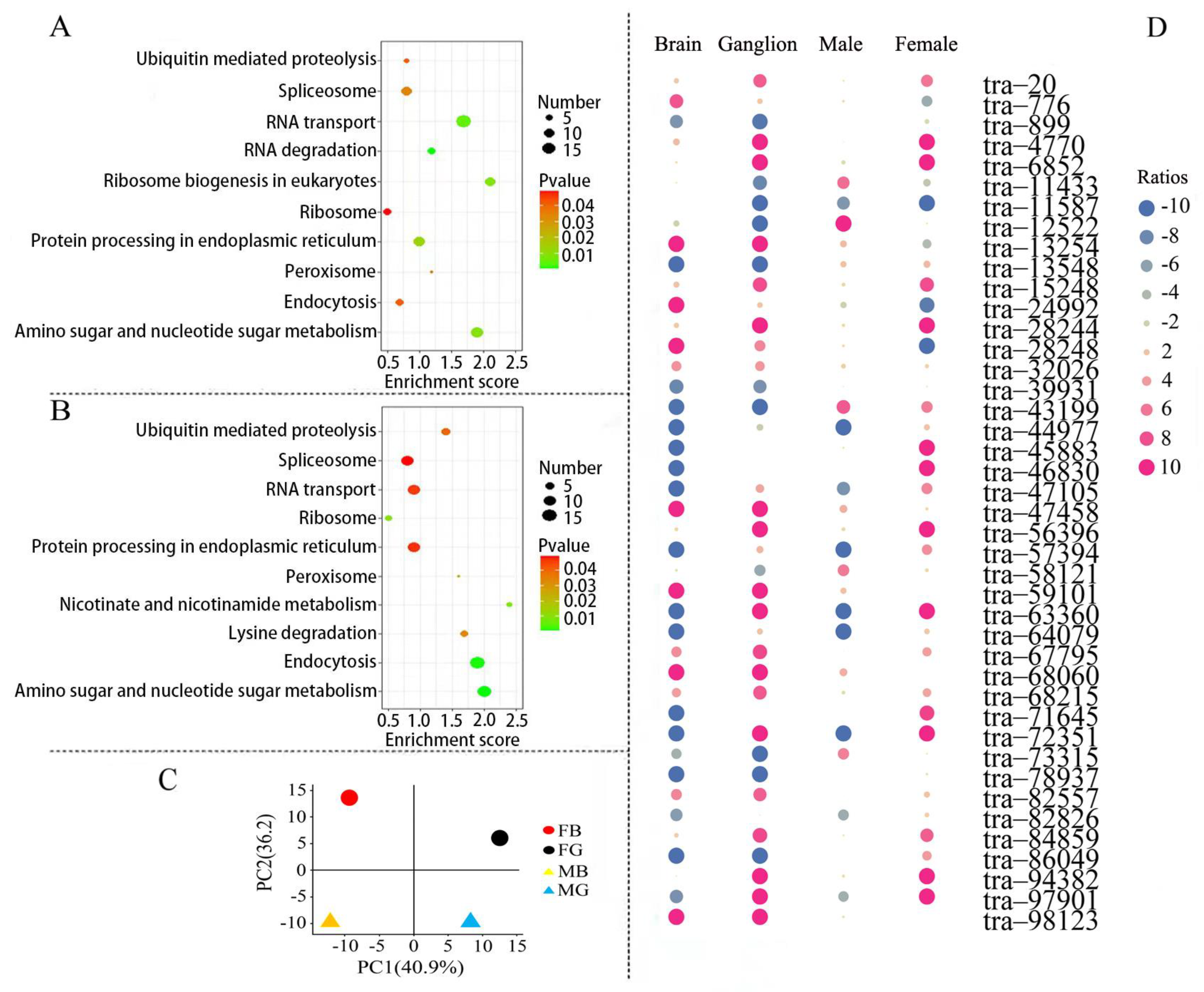Biomolecules 13 00460 g007 Biomolecules 13 00460 g007