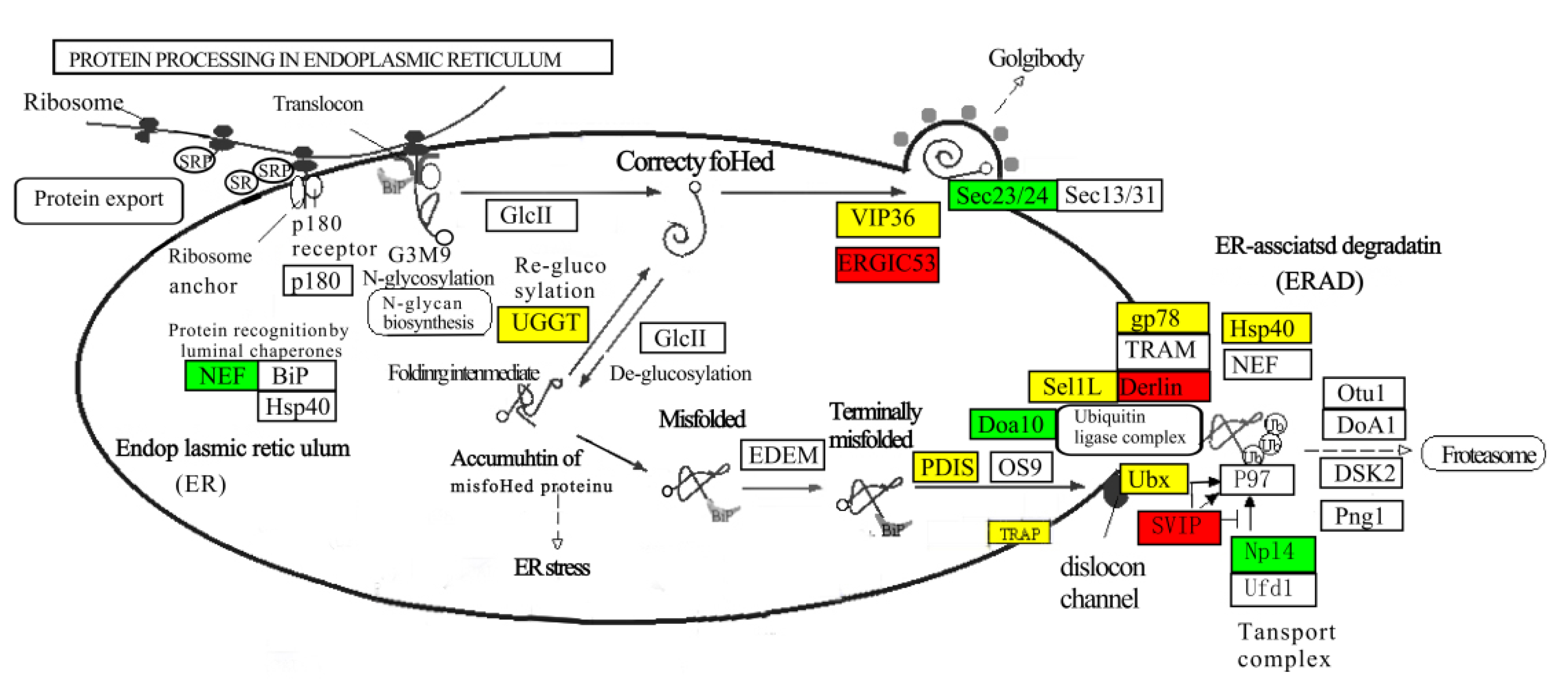 Biomolecules 13 00460 g008 Biomolecules 13 00460 g008