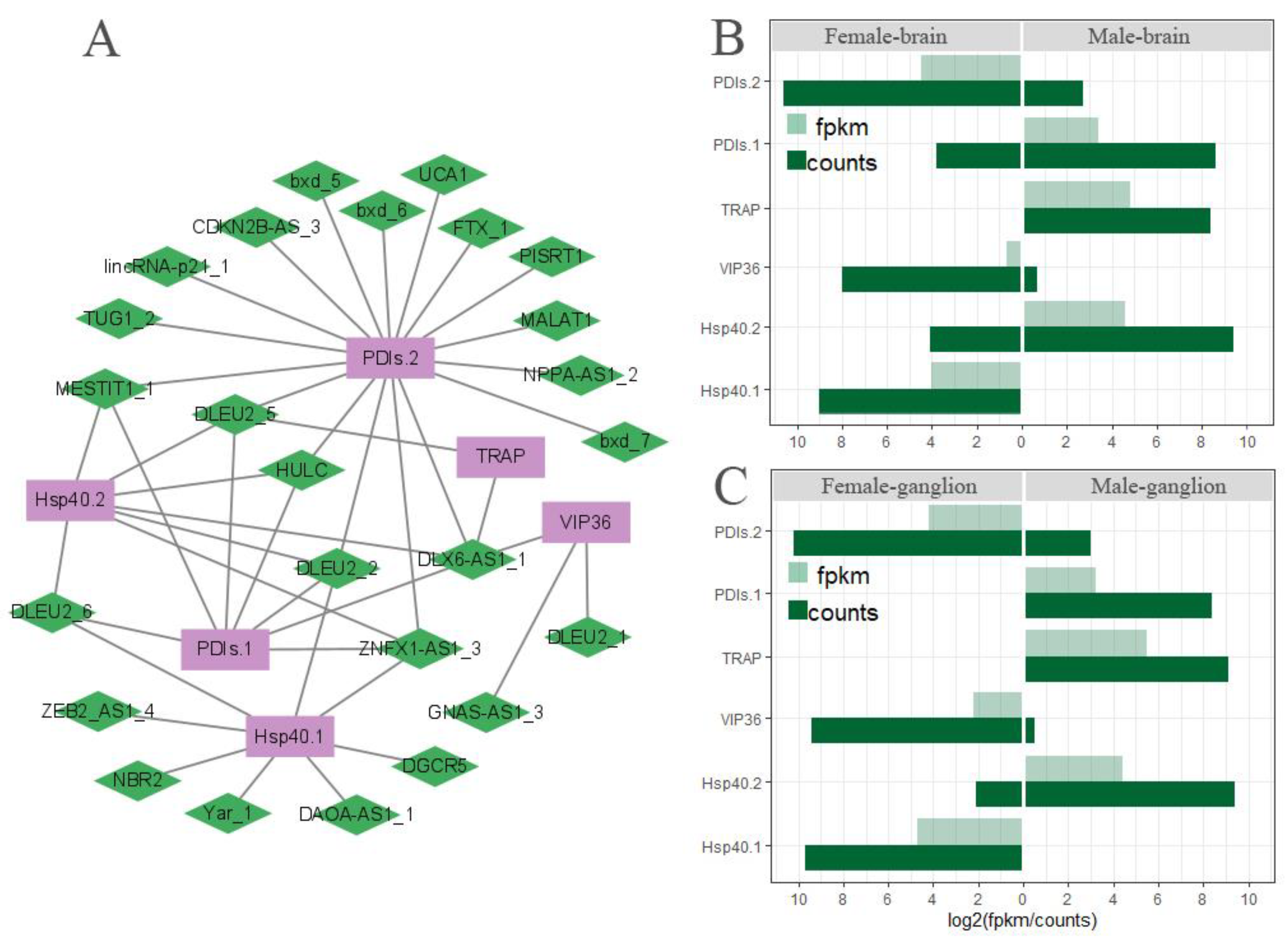 Biomolecules 13 00460 g009 Biomolecules 13 00460 g009