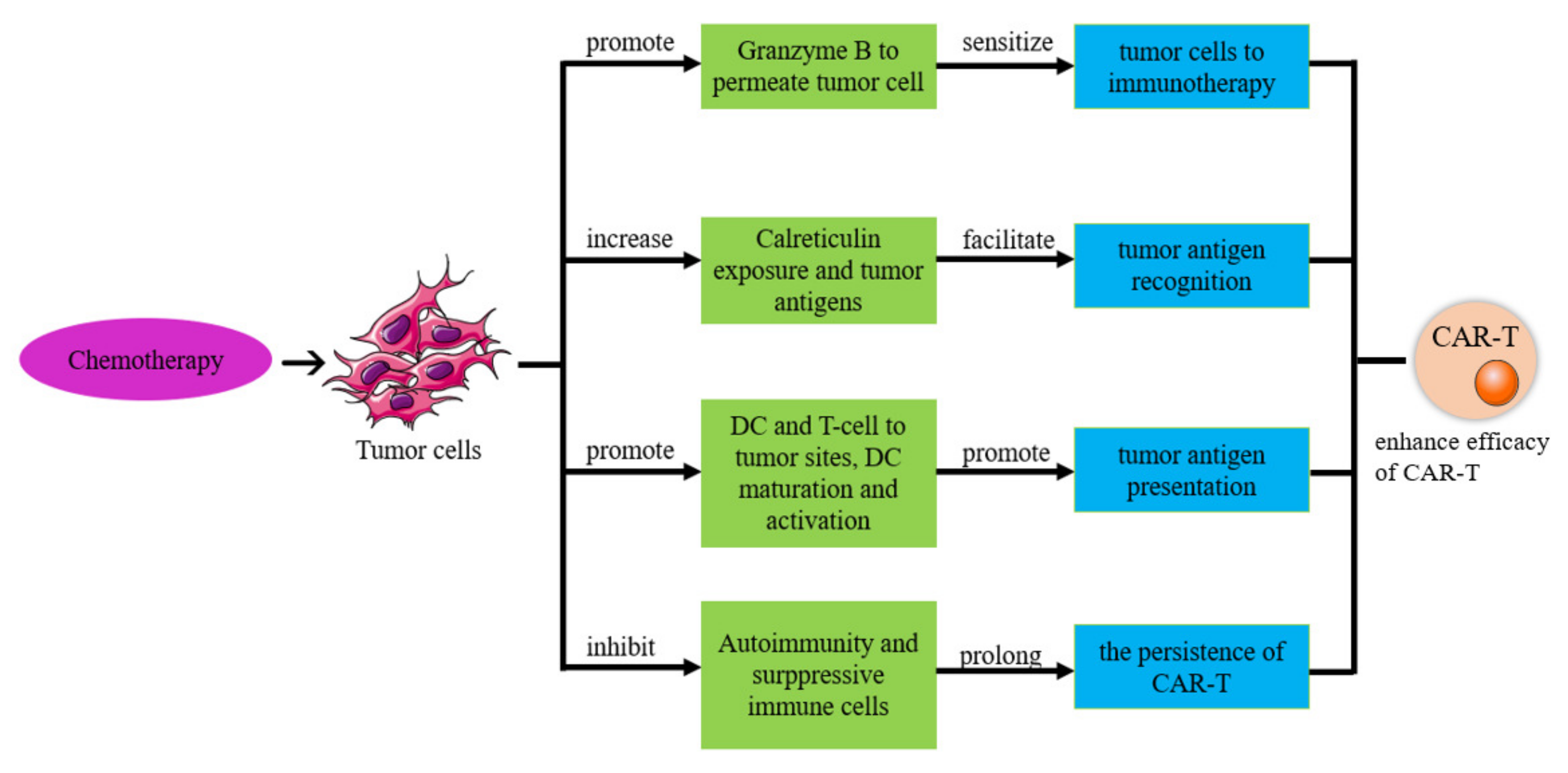 Biomolecules 13 00465 g008 Biomolecules 13 00465 g008