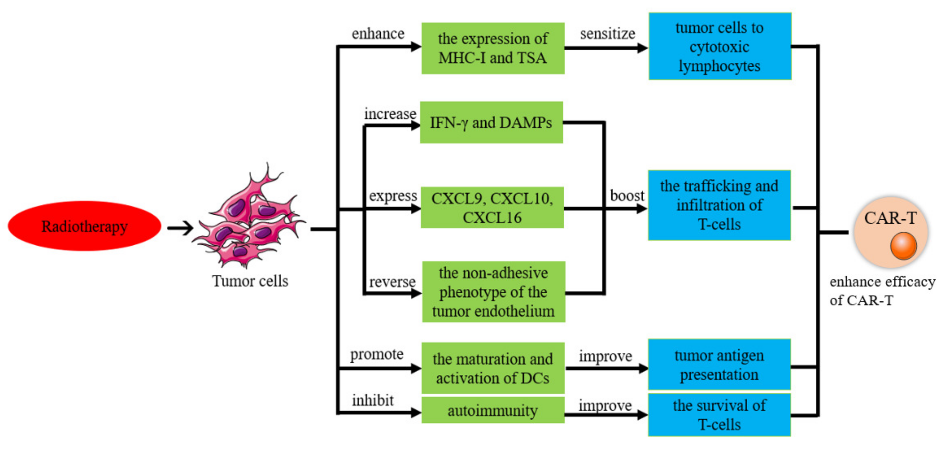 Biomolecules 13 00465 g009 Biomolecules 13 00465 g009