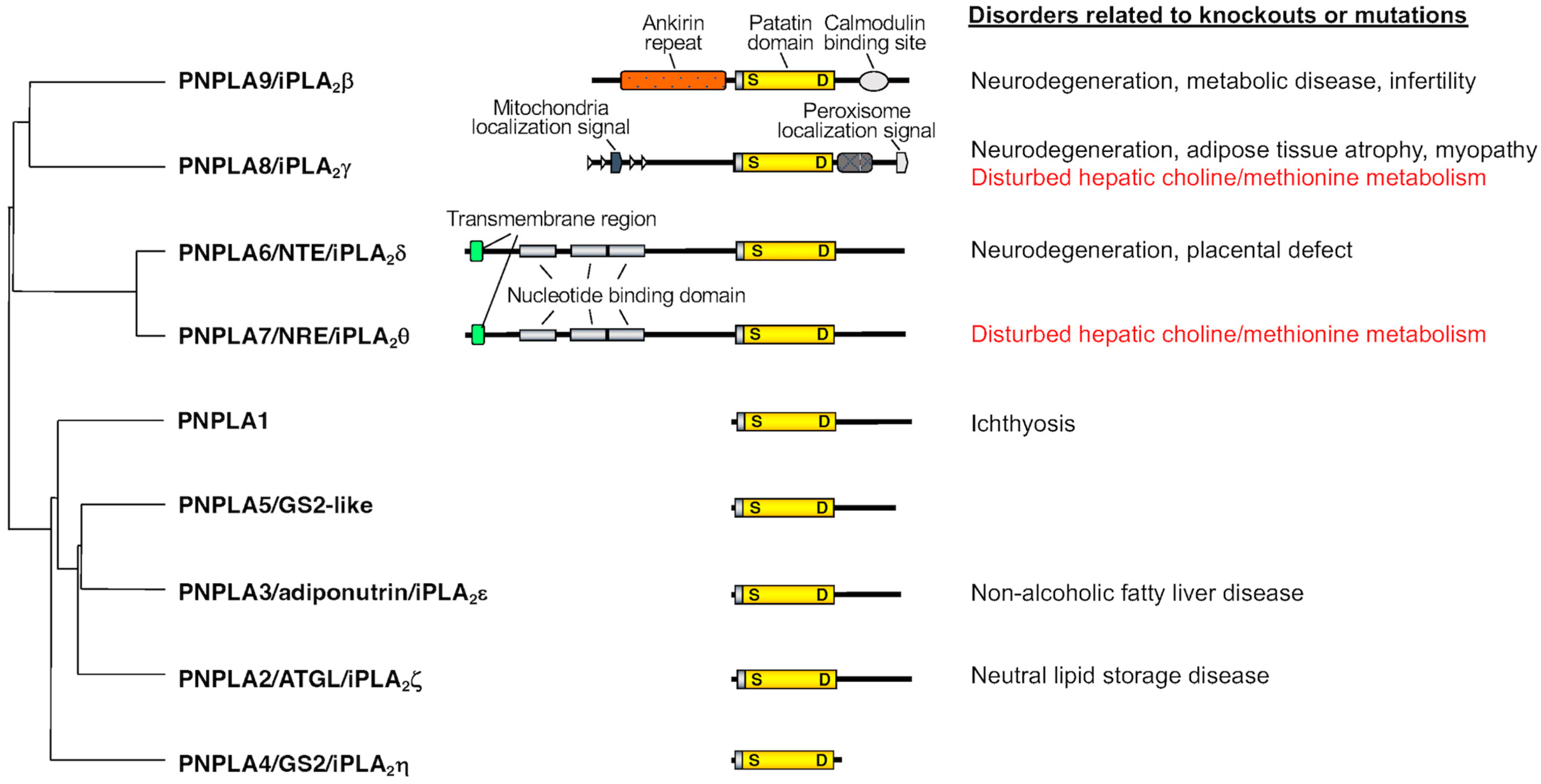 Biomolecules 13 00471 g001