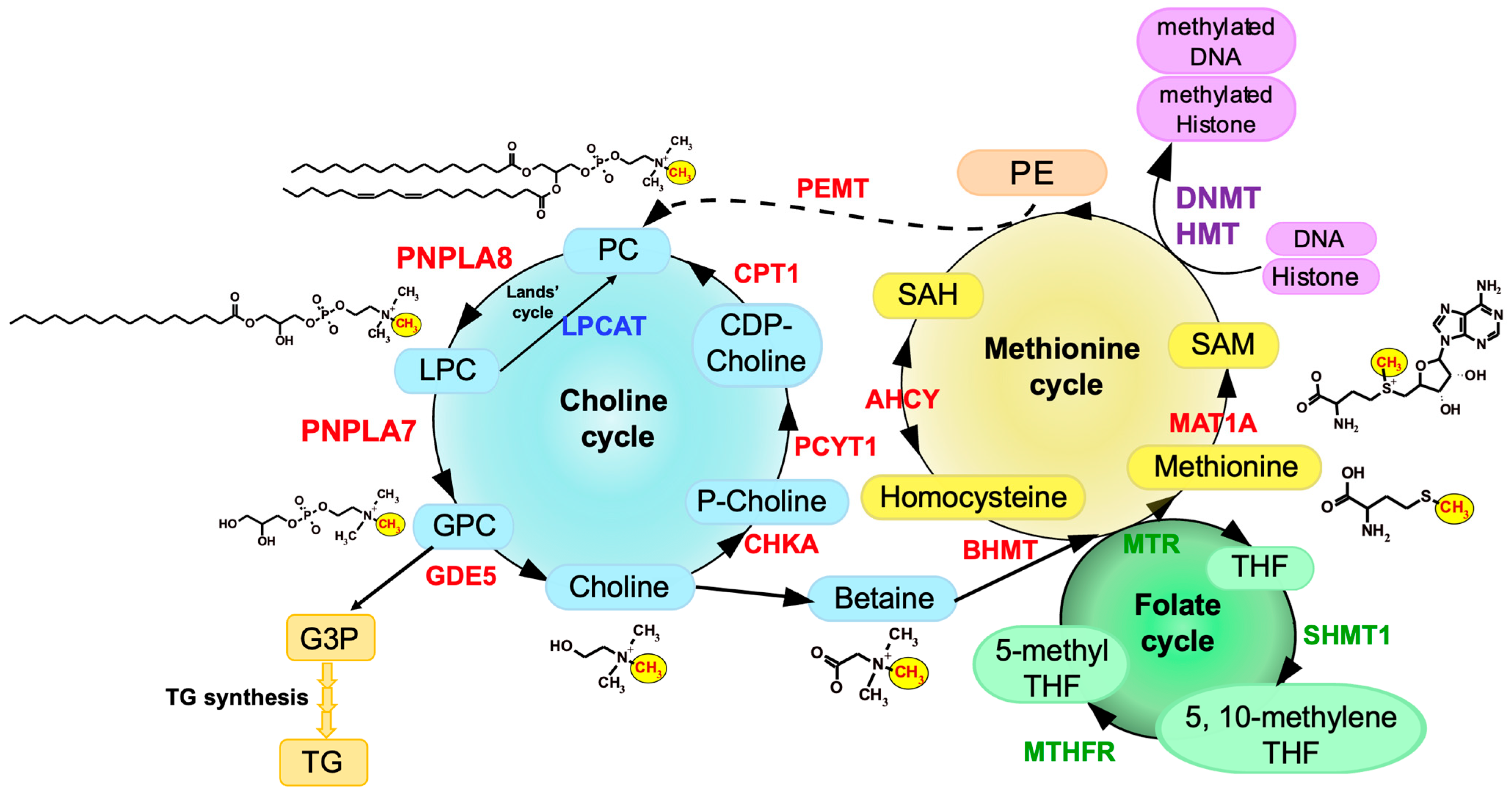 Biomolecules 13 00471 g002