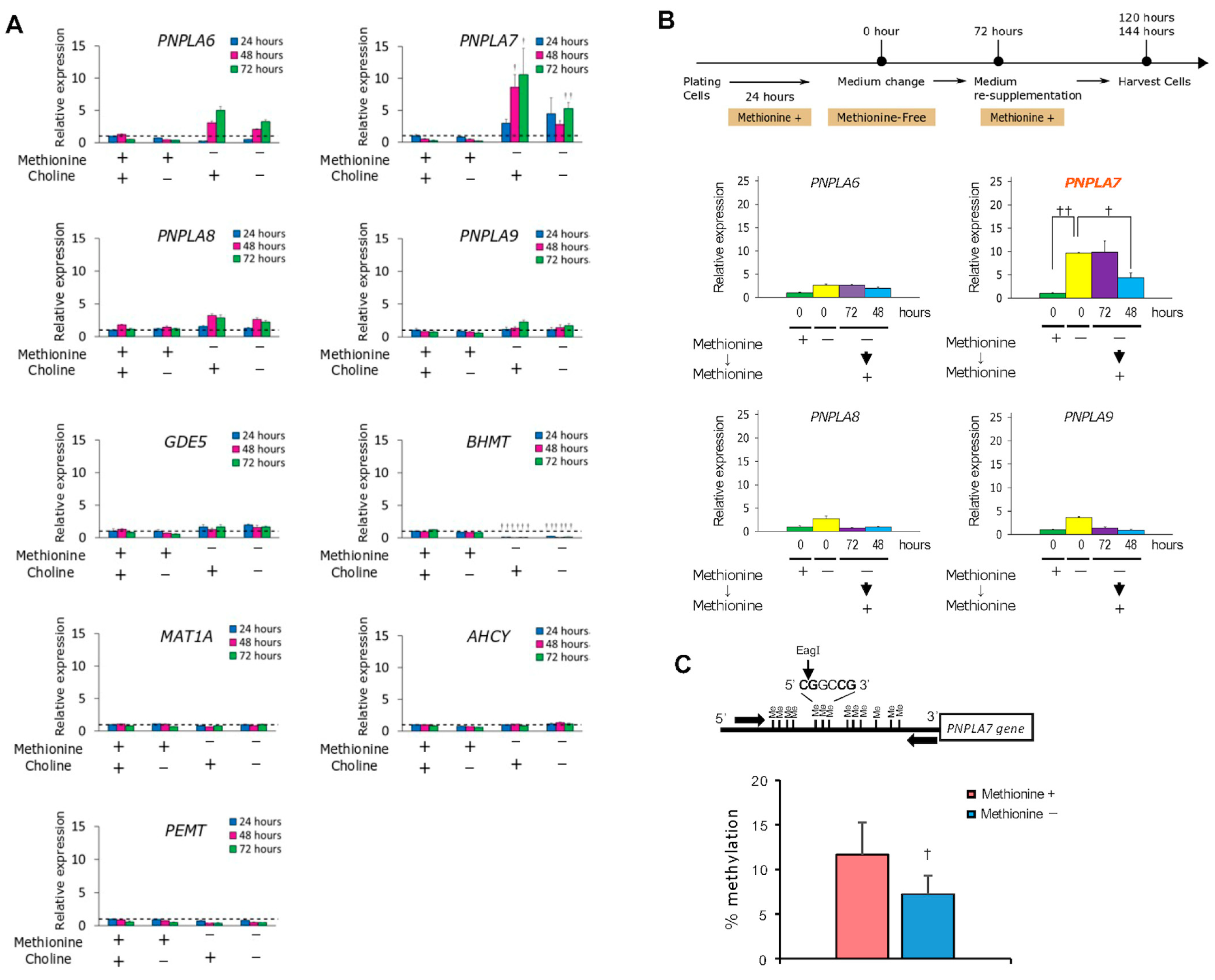 Biomolecules 13 00471 g003