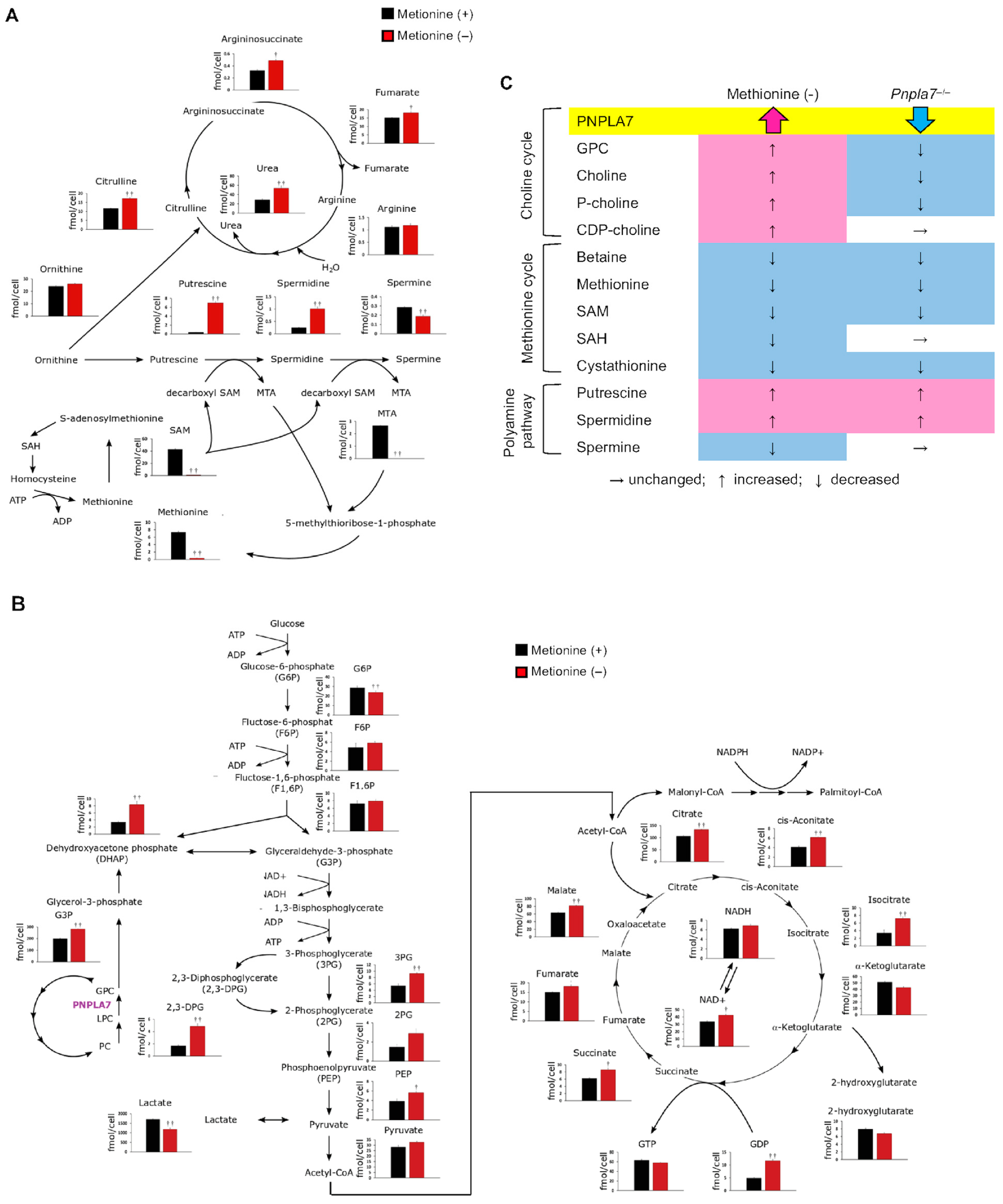 Biomolecules 13 00471 g005