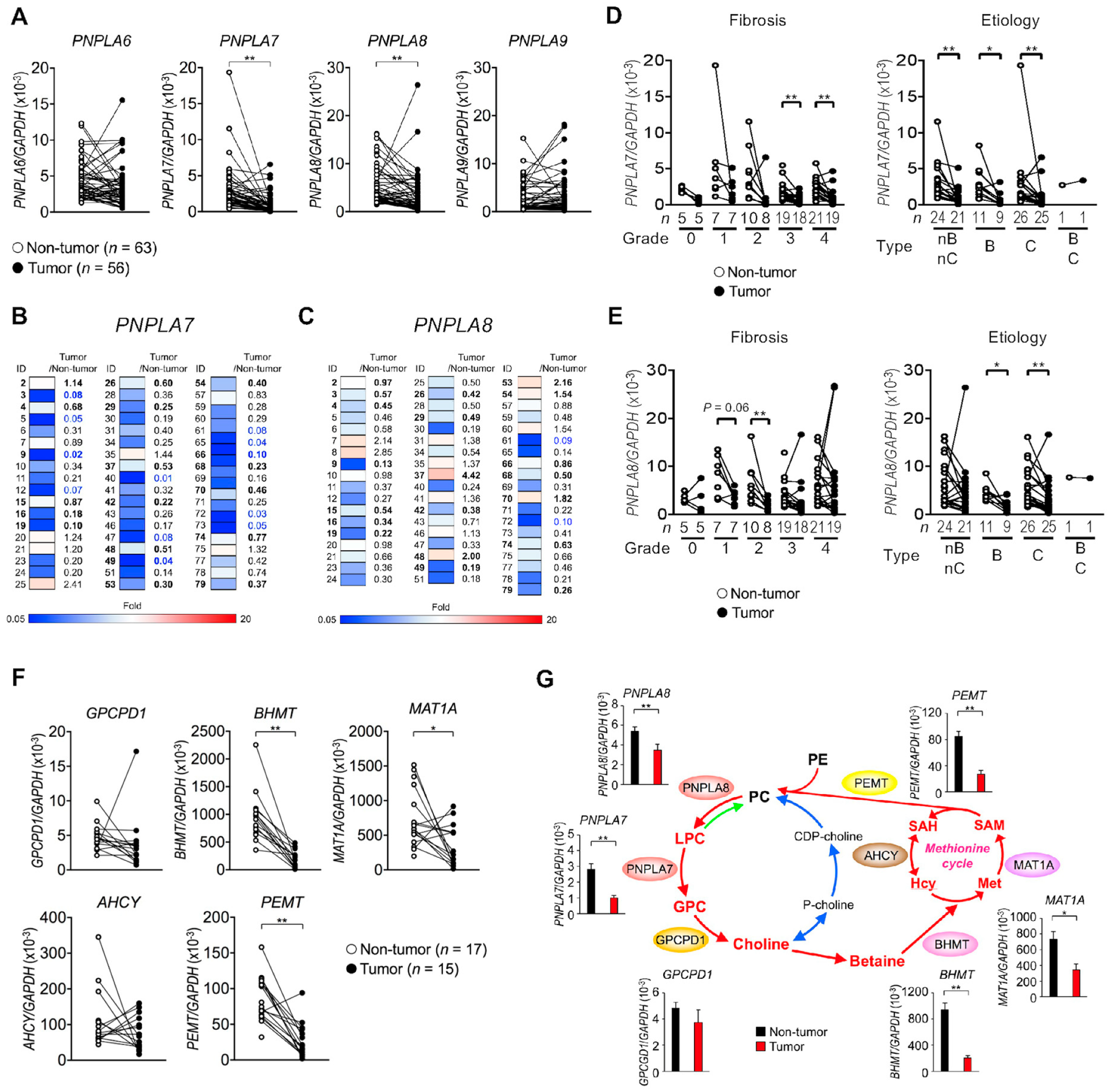 Biomolecules 13 00471 g006
