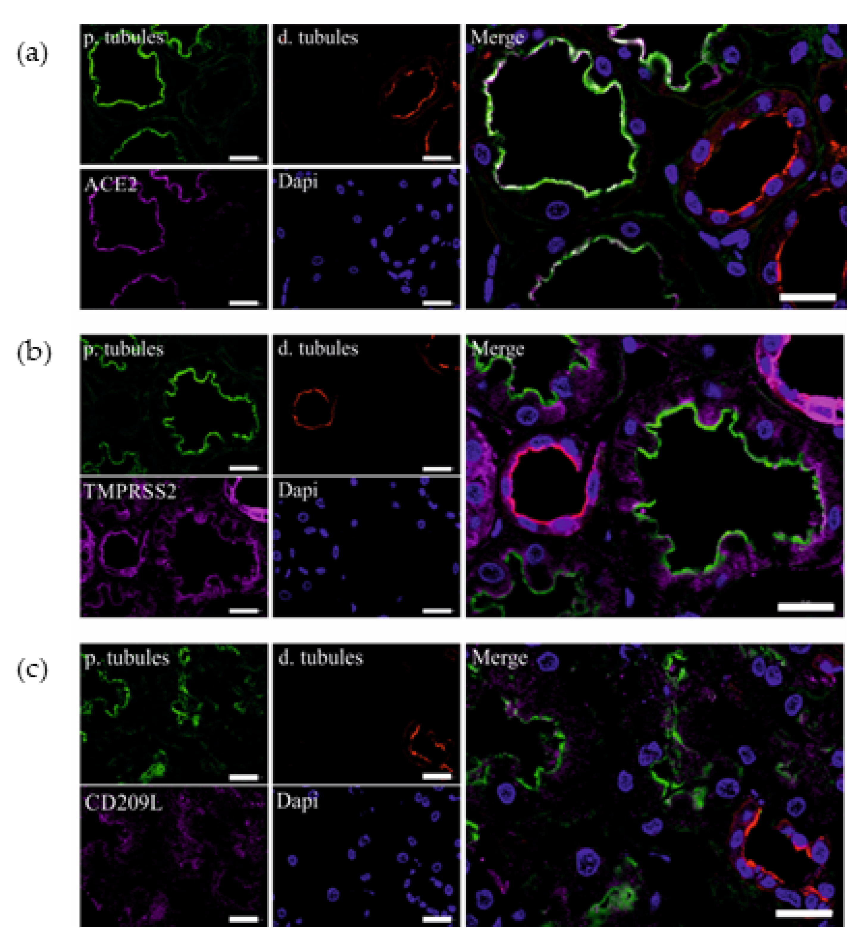 Biomolecules 13 00472 g003