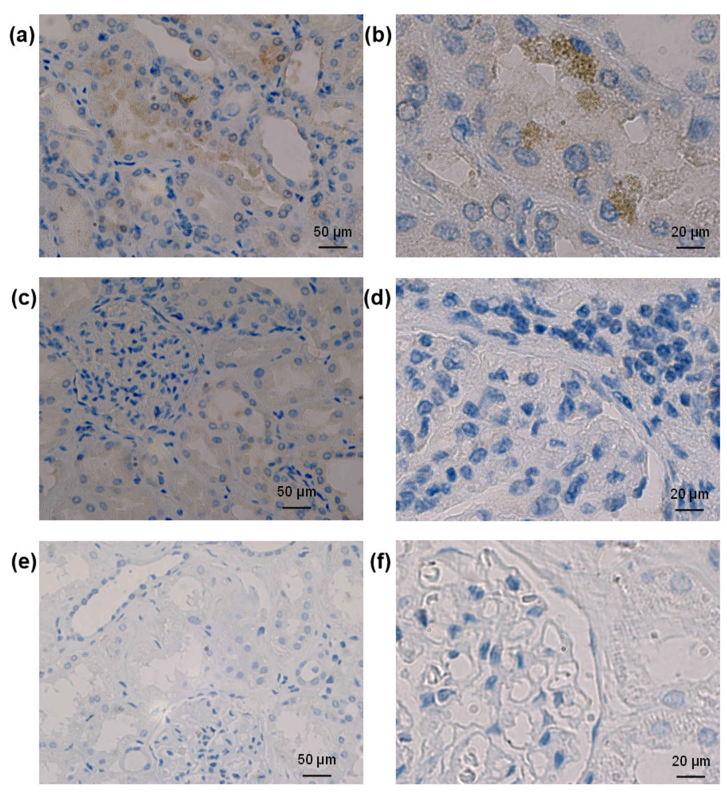 Biomolecules 13 00472 g008