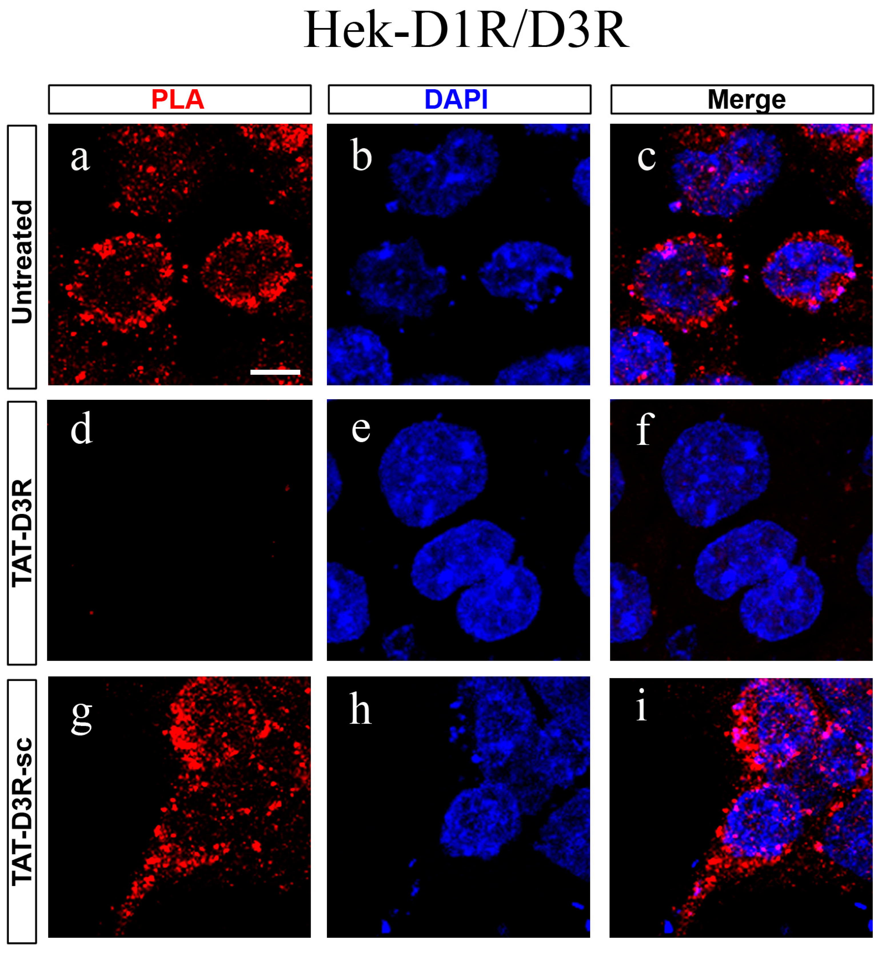 Biomolecules 13 00473 g001 Biomolecules 13 00473 g001
