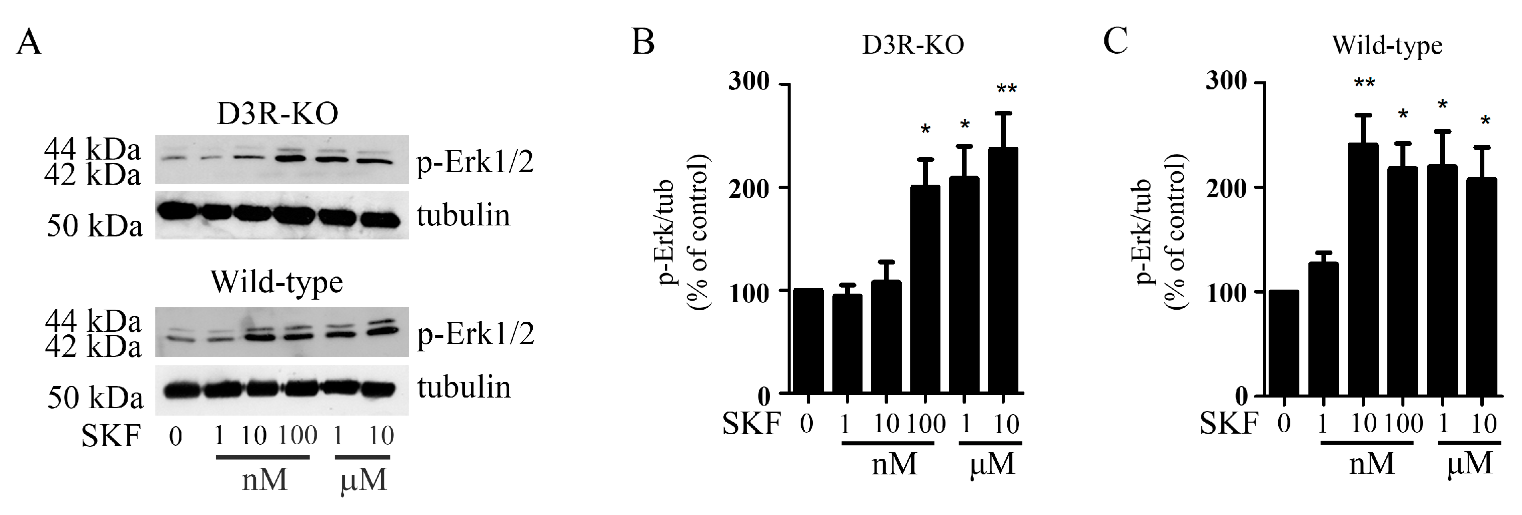 Biomolecules 13 00473 g007 Biomolecules 13 00473 g007