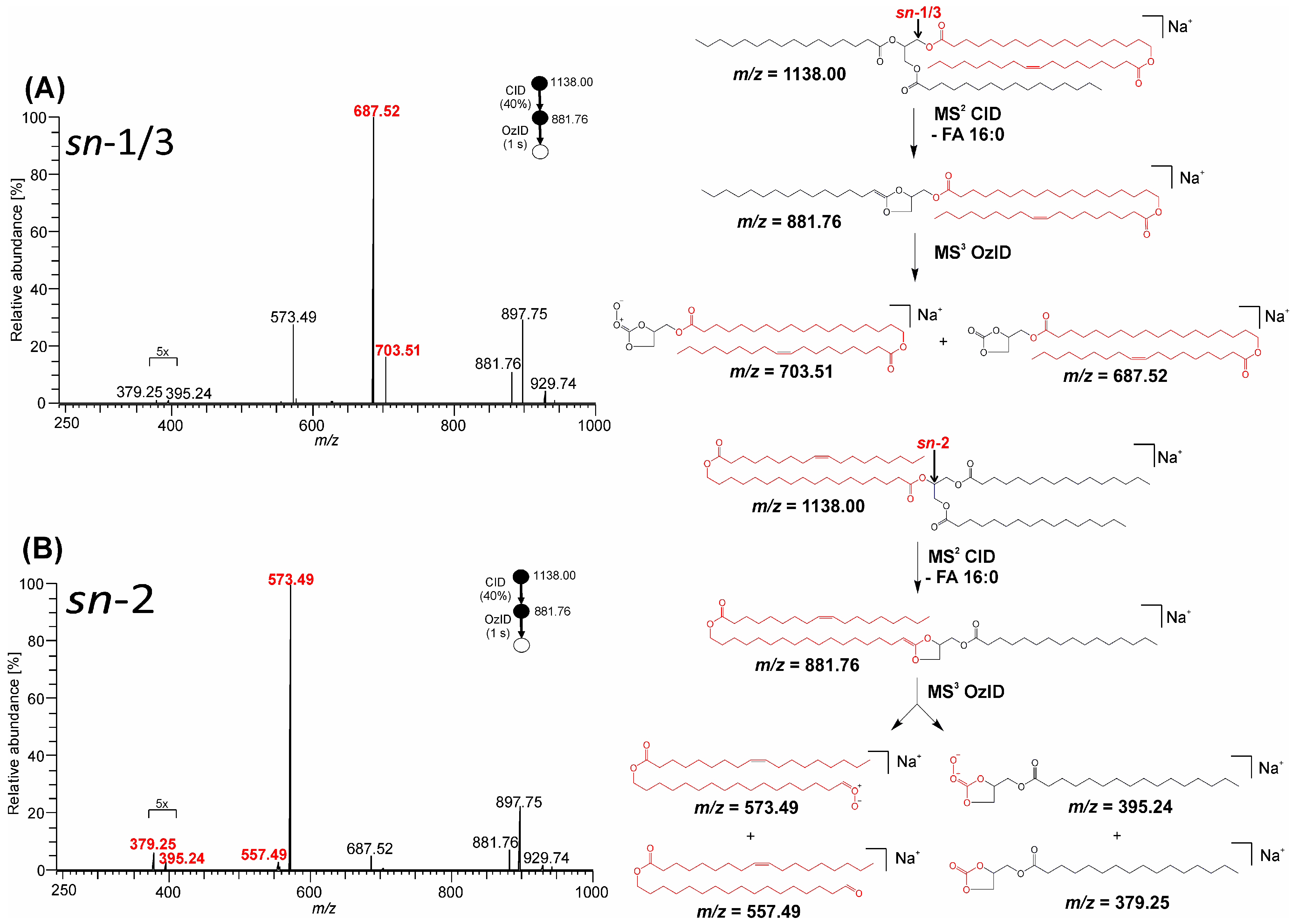 Biomolecules 13 00475 g008 Biomolecules 13 00475 g008