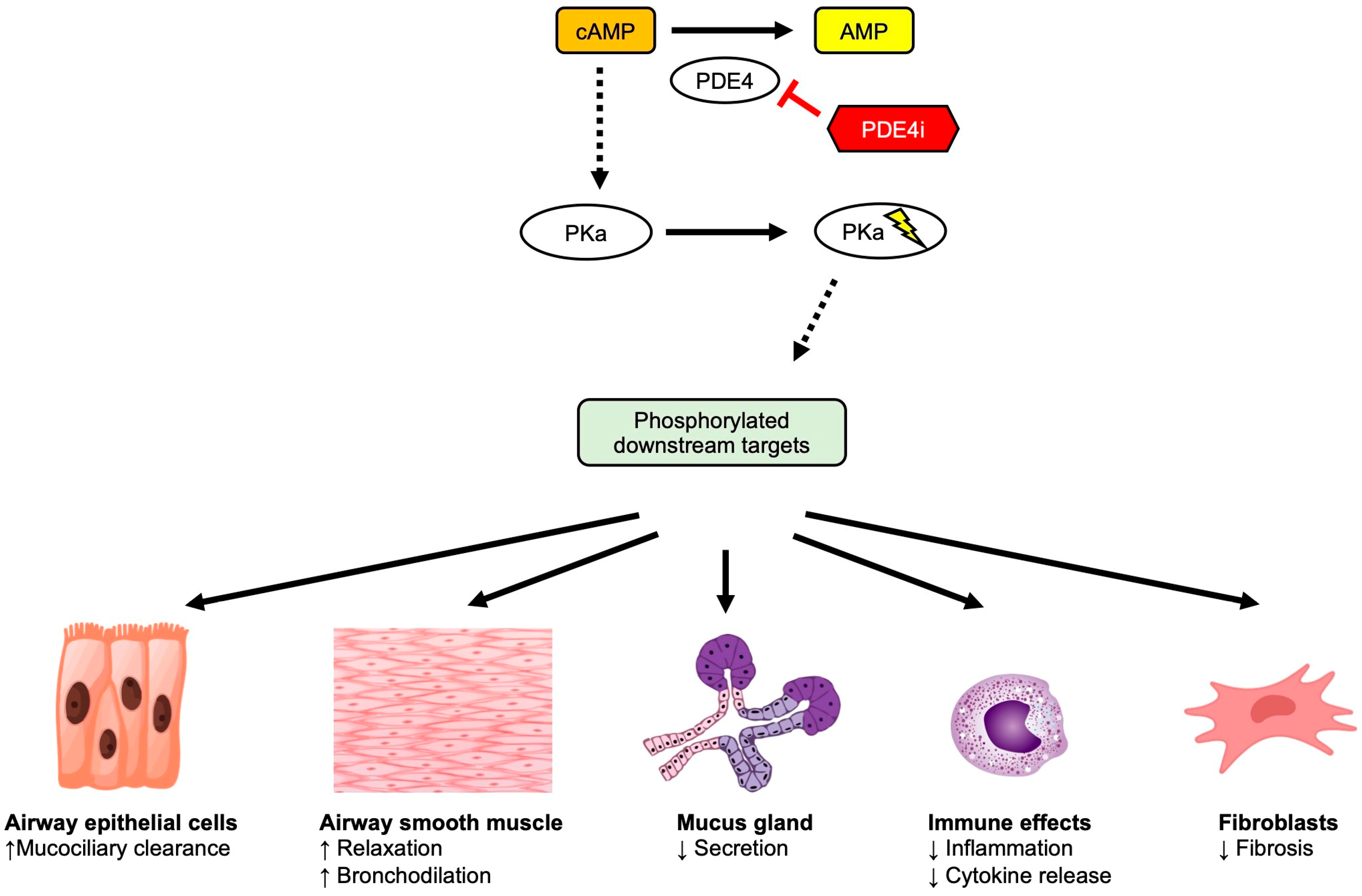 Biomolecules 13 00476 g003