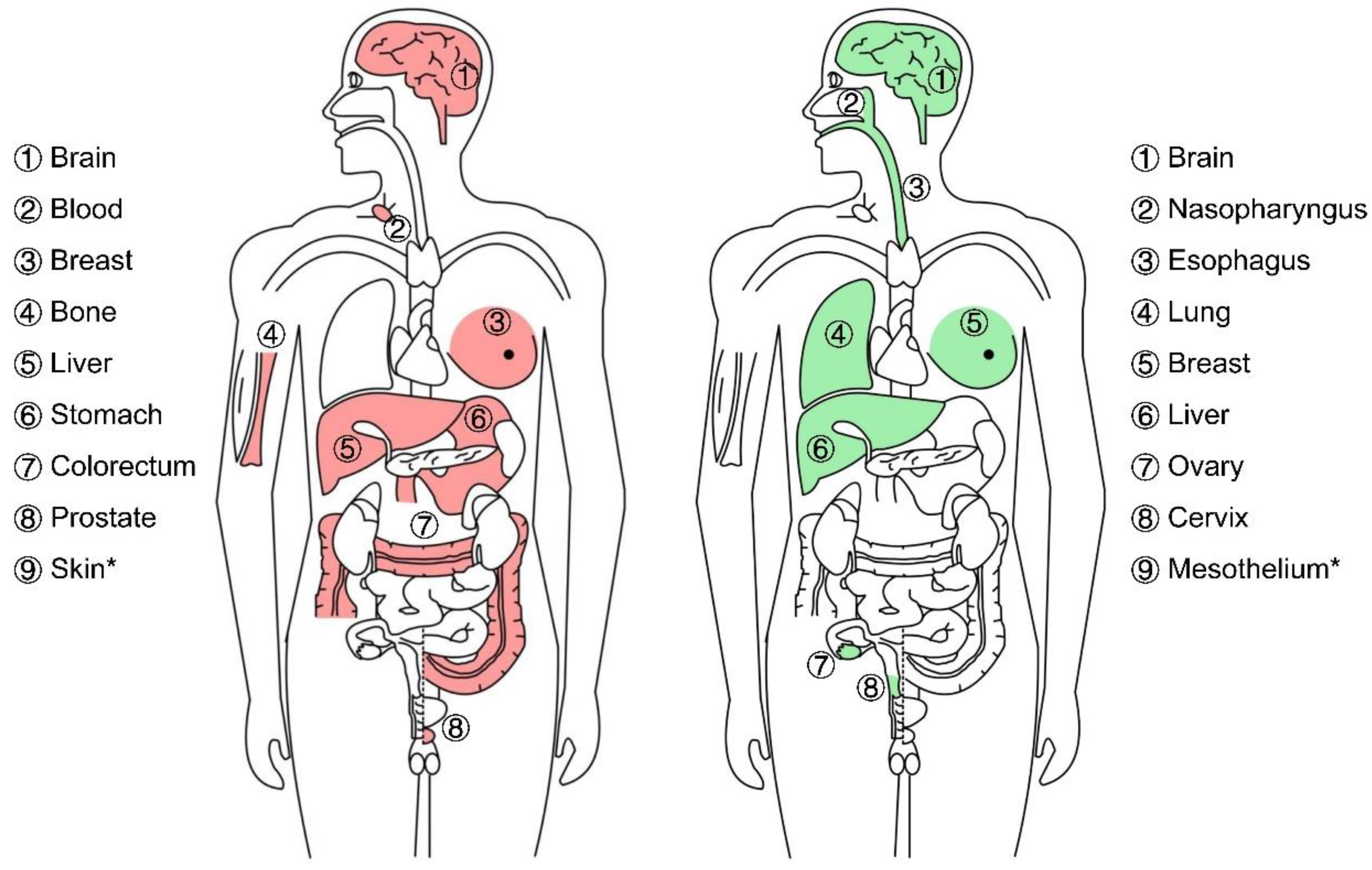 Biomolecules 13 00477 g002 Biomolecules 13 00477 g002