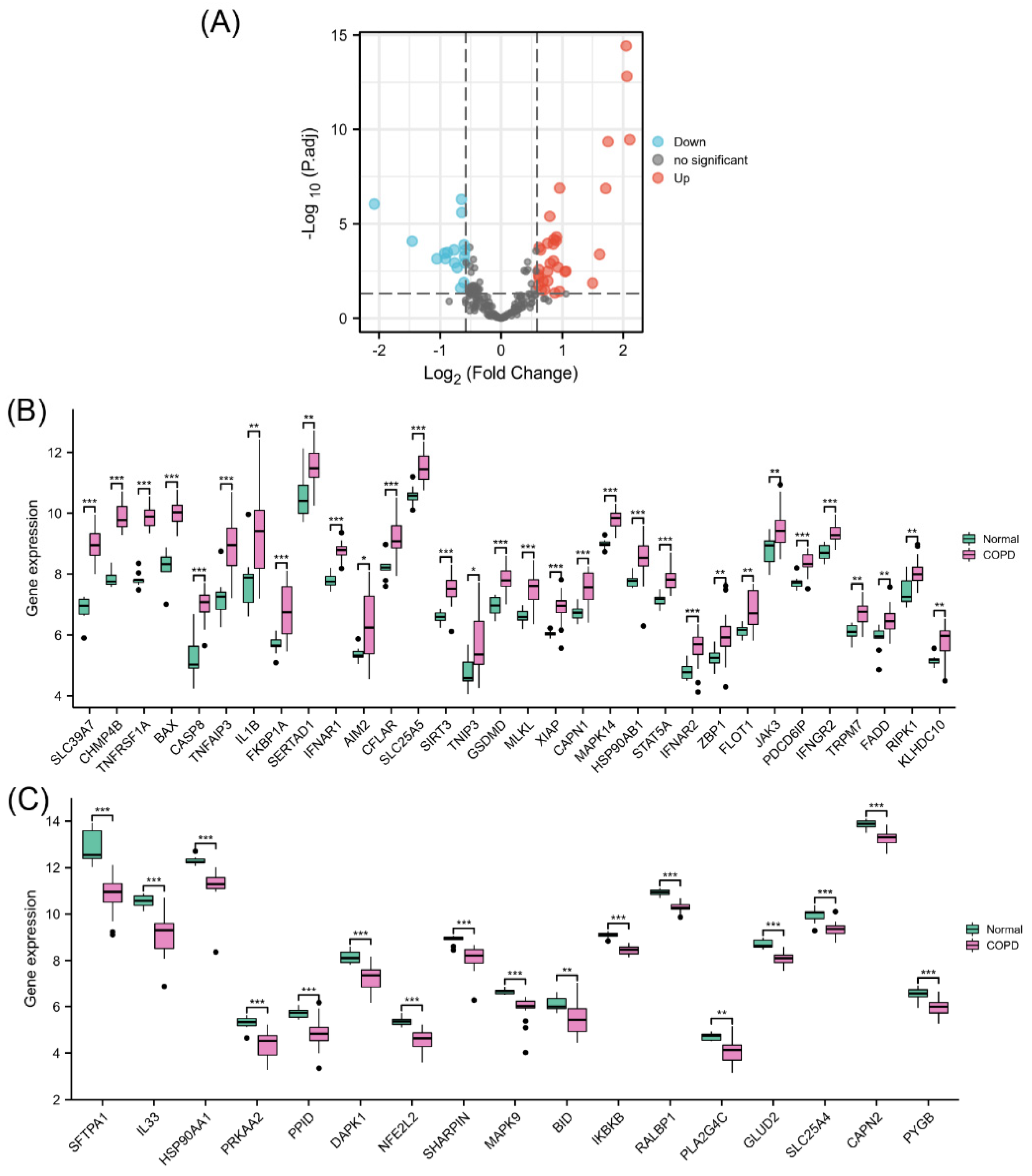 Biomolecules 13 00482 g002