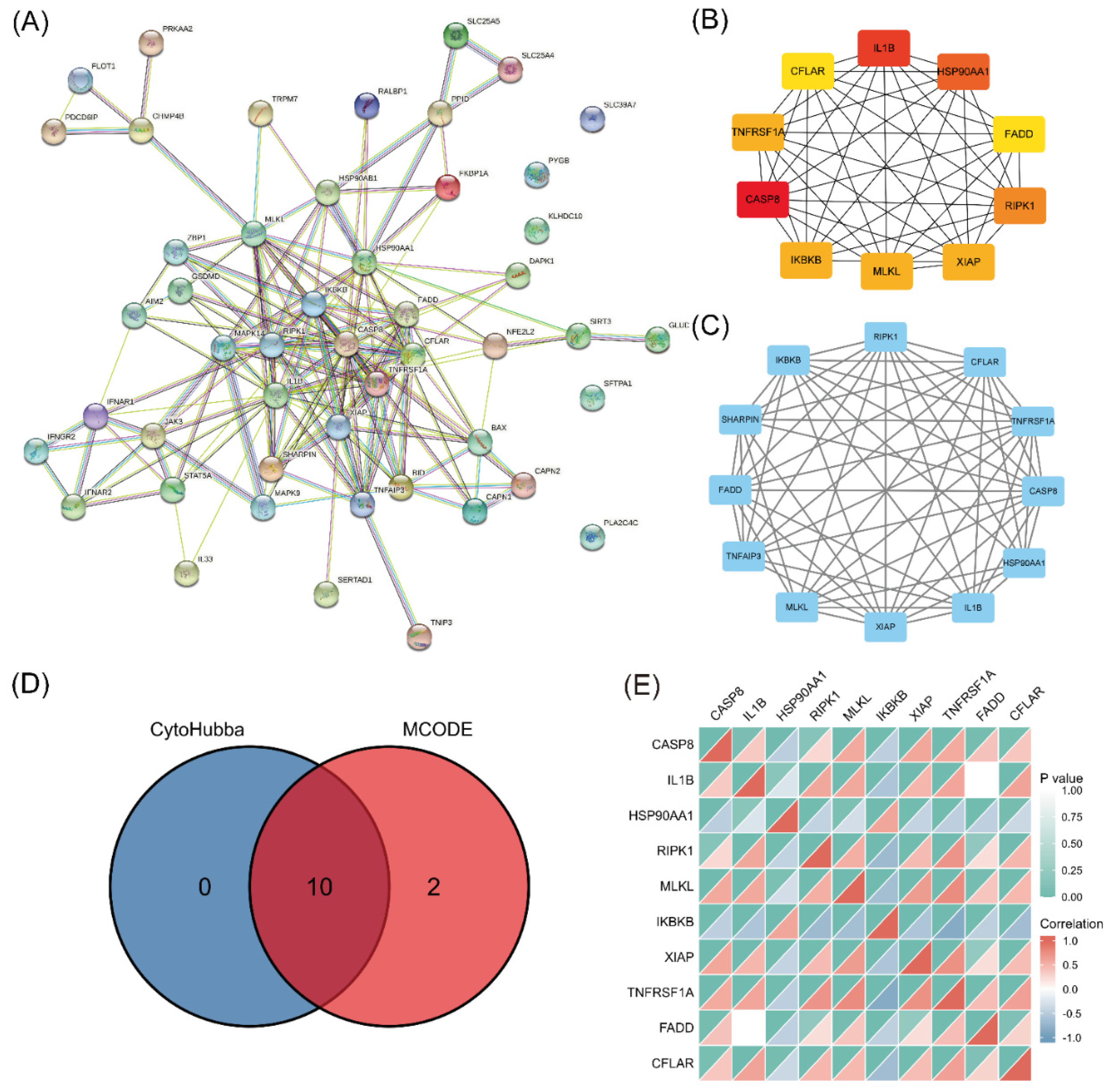 Biomolecules 13 00482 g004