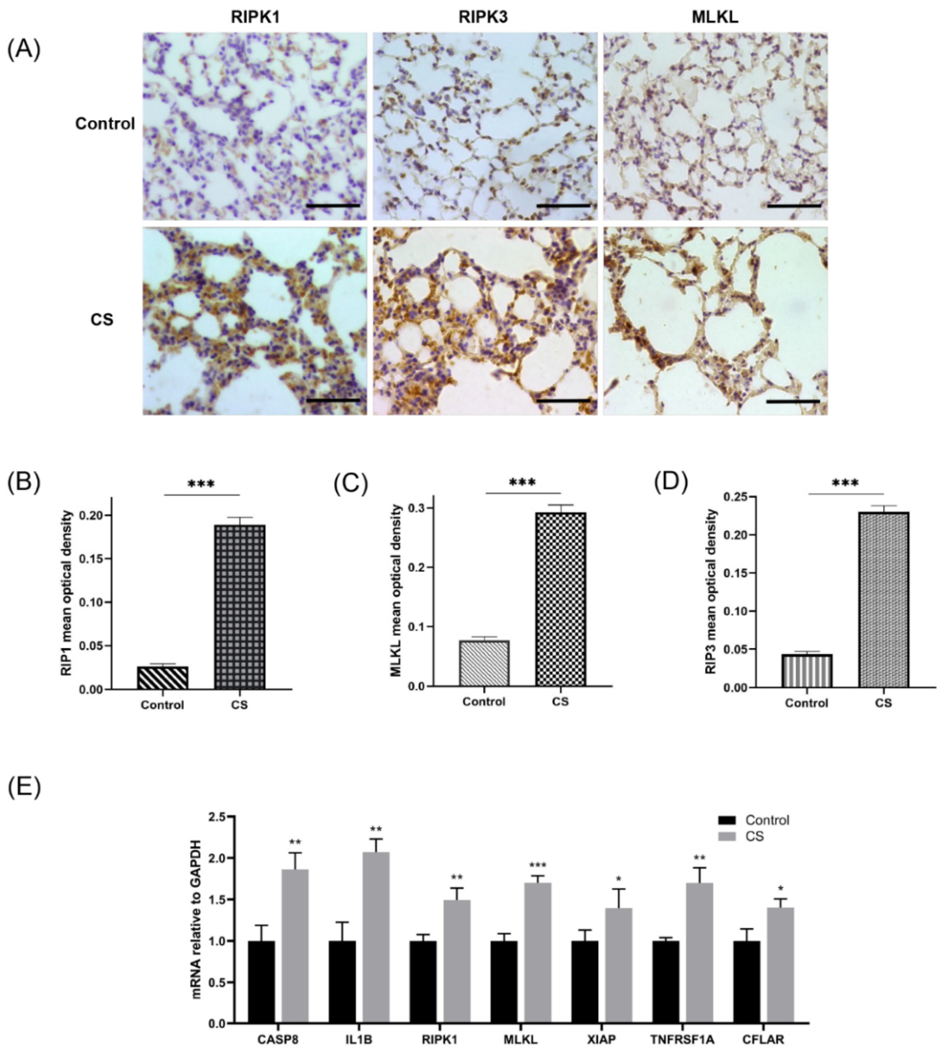 Biomolecules 13 00482 g009