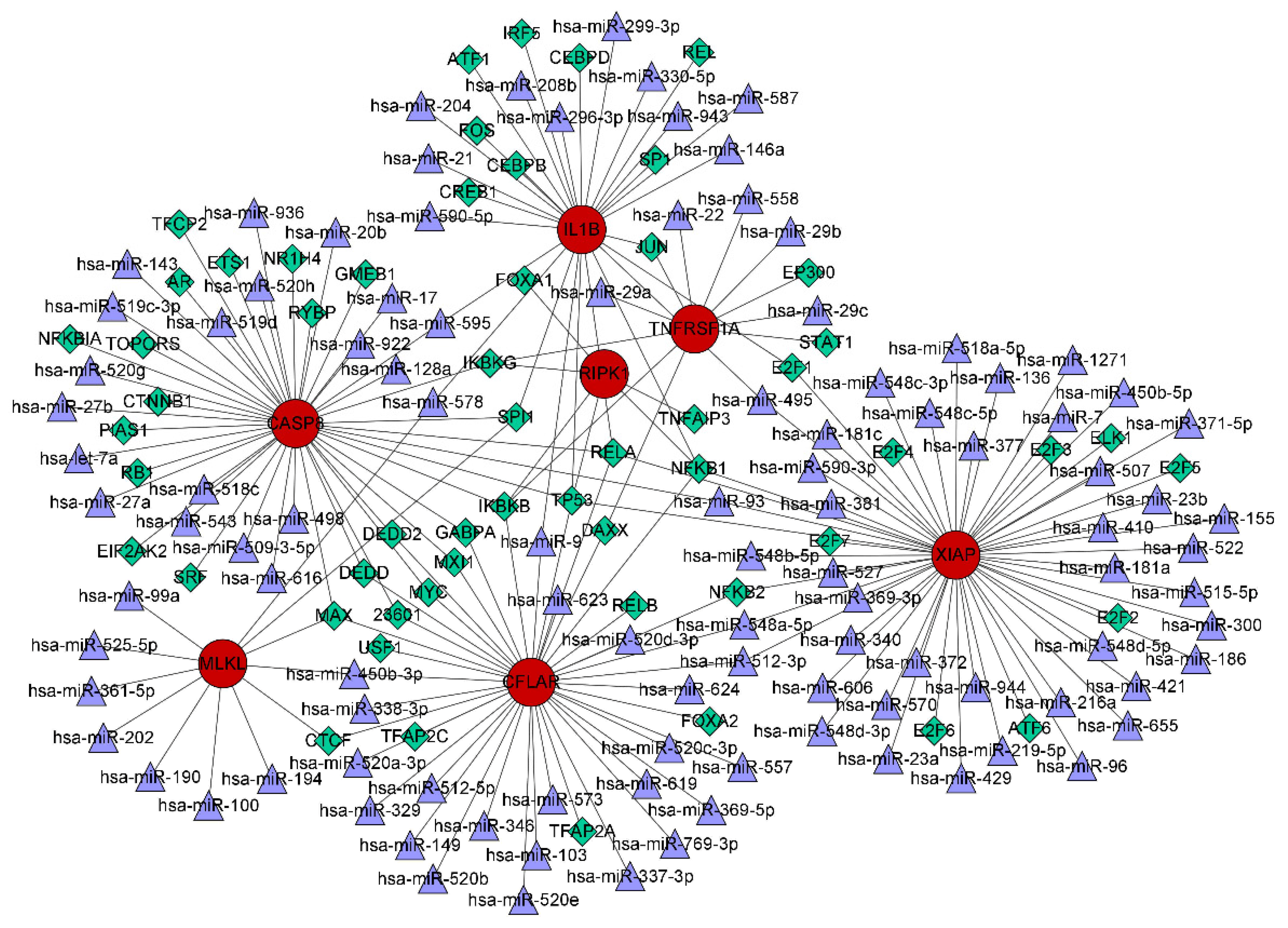 Biomolecules 13 00482 g011
