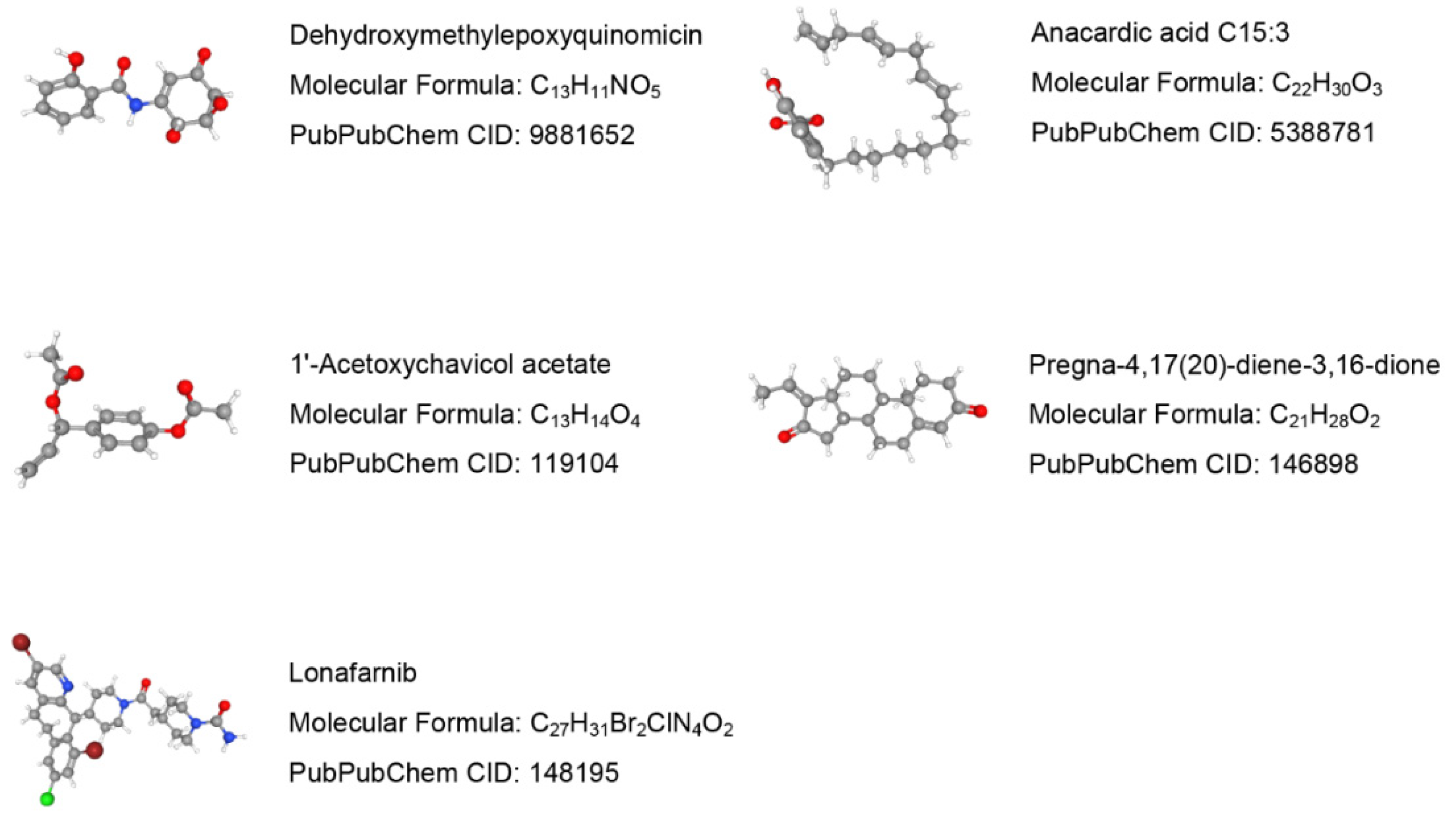 Biomolecules 13 00482 g012