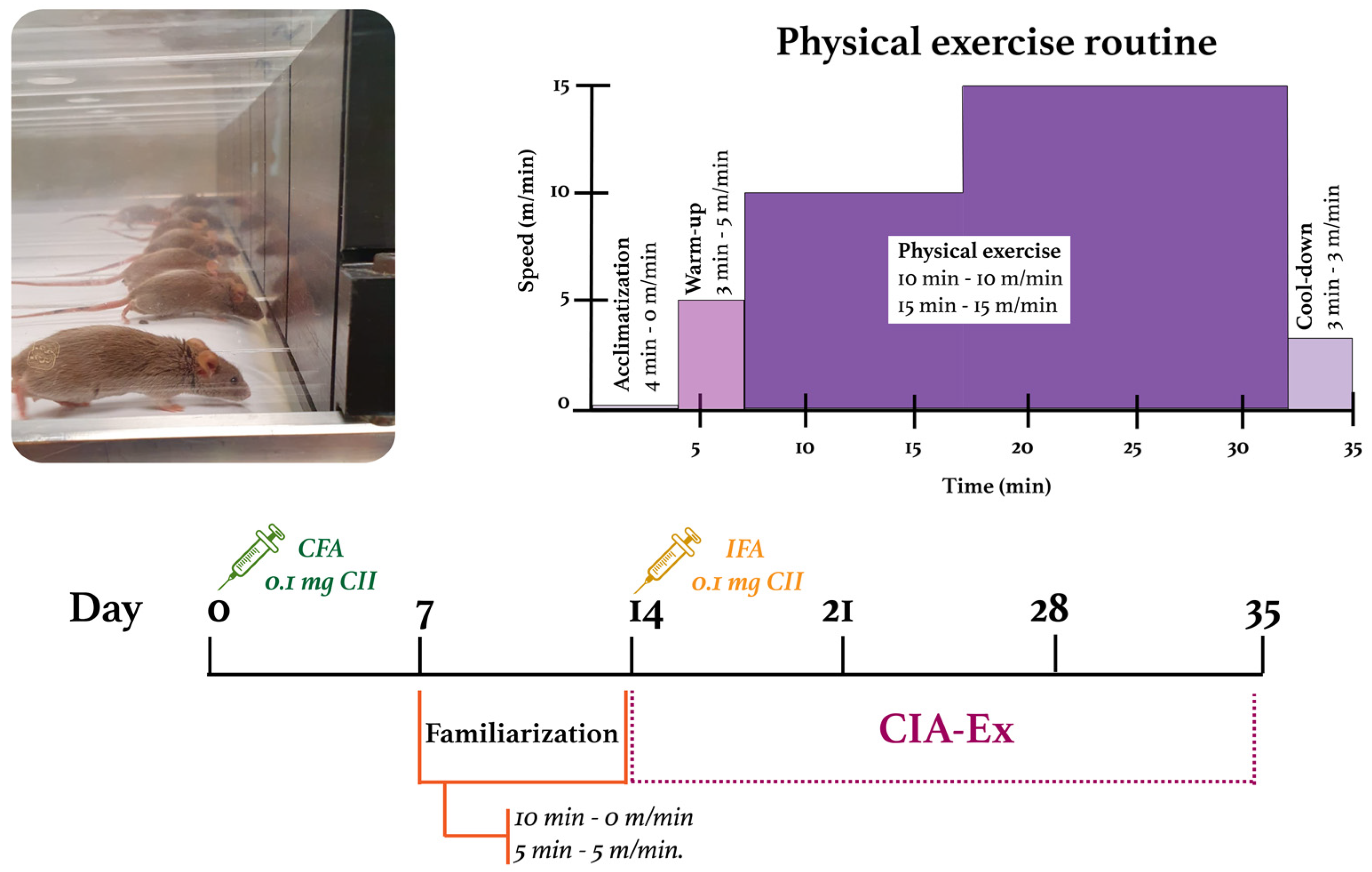 Biomolecules 13 00488 g001 Biomolecules 13 00488 g001