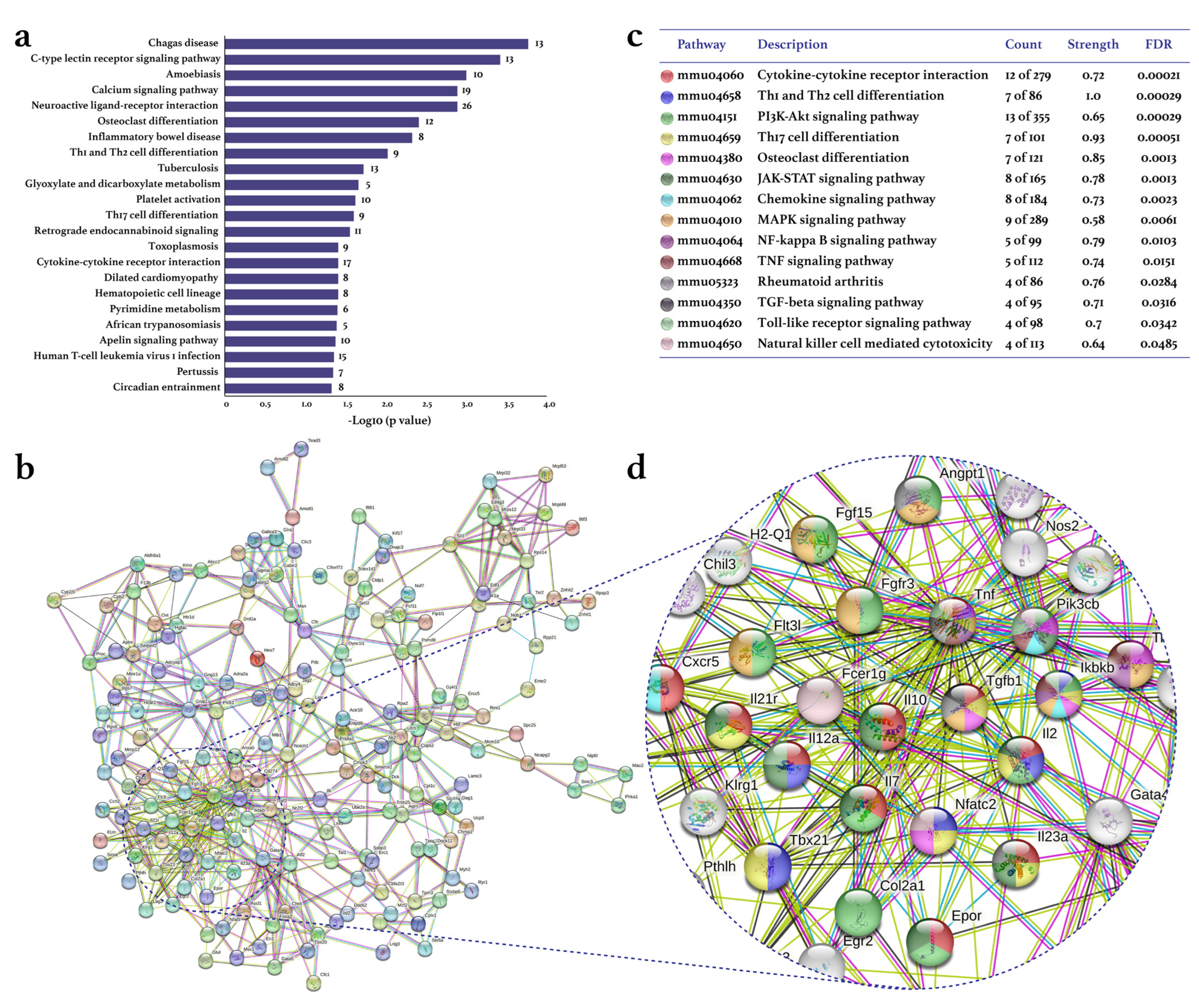 Biomolecules 13 00488 g002 Biomolecules 13 00488 g002
