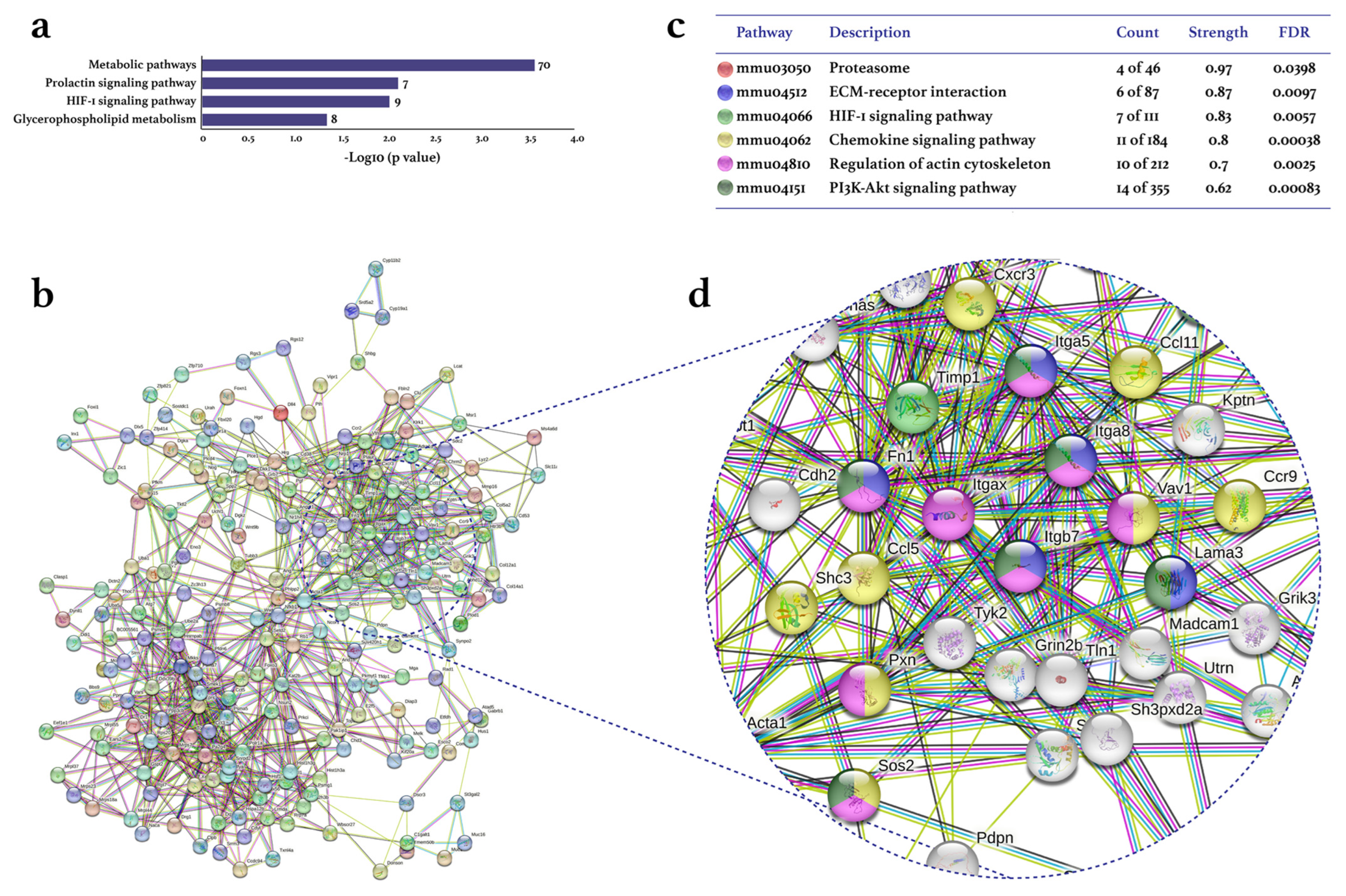 Biomolecules 13 00488 g003 Biomolecules 13 00488 g003