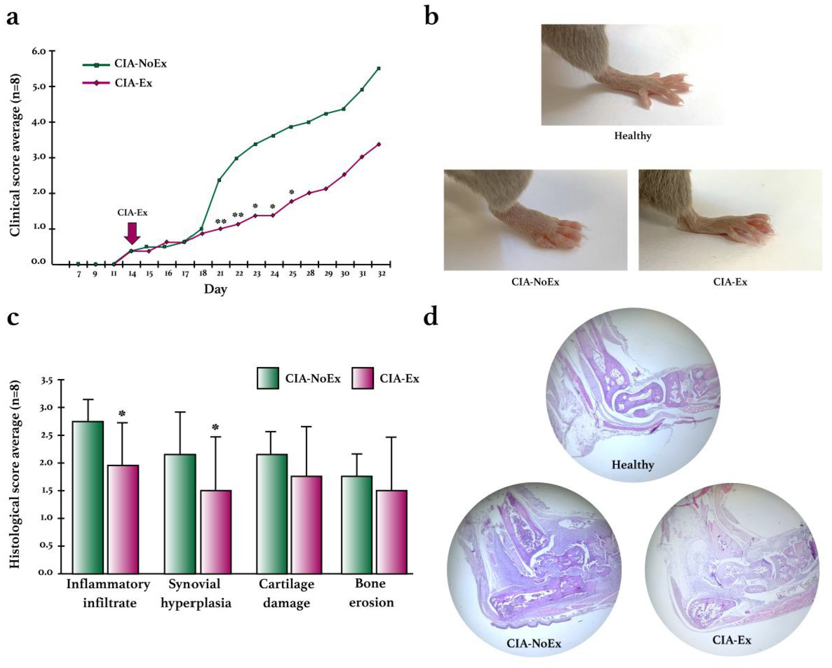 Biomolecules 13 00488 g004 Biomolecules 13 00488 g004