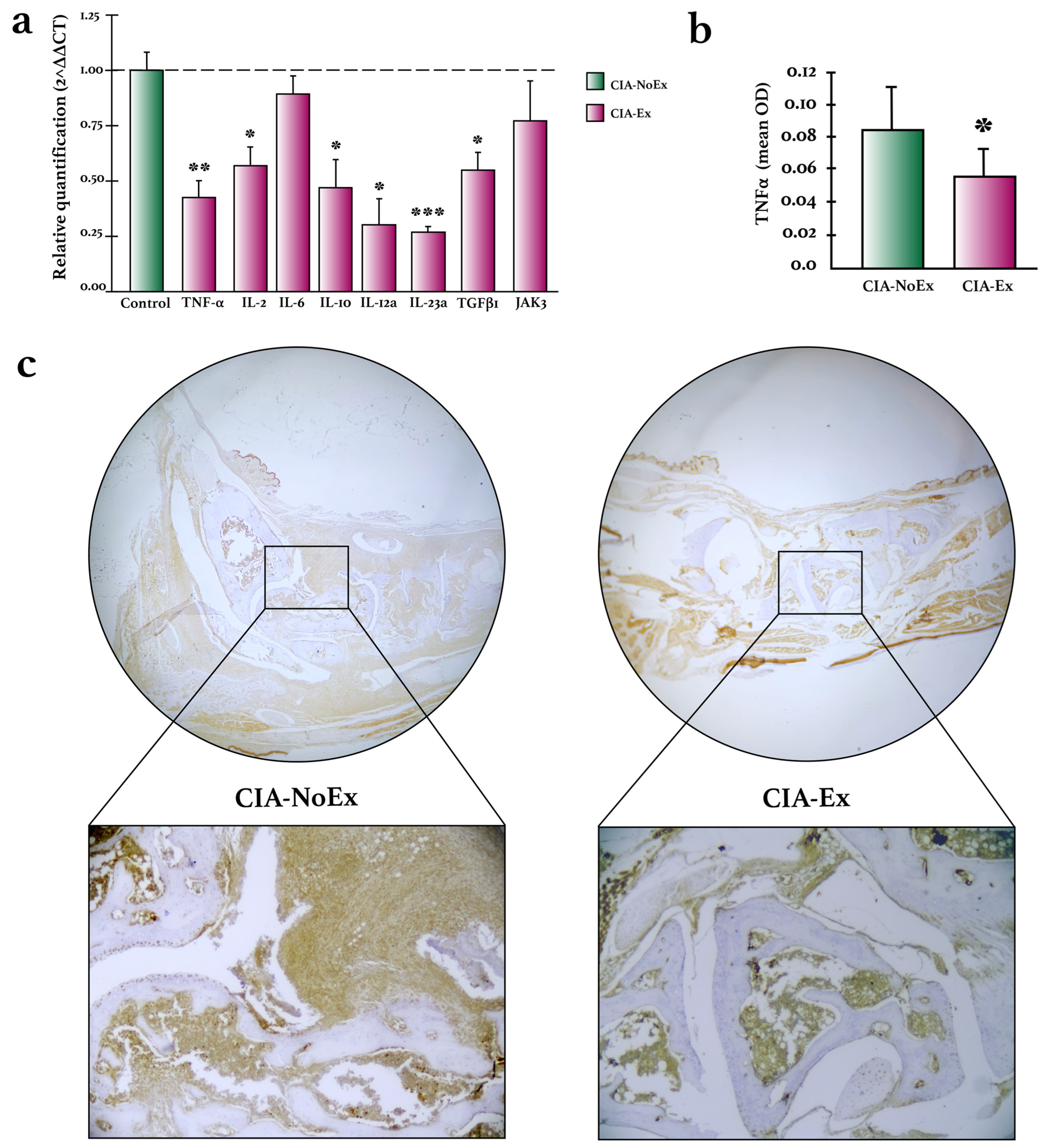 Biomolecules 13 00488 g005 Biomolecules 13 00488 g005