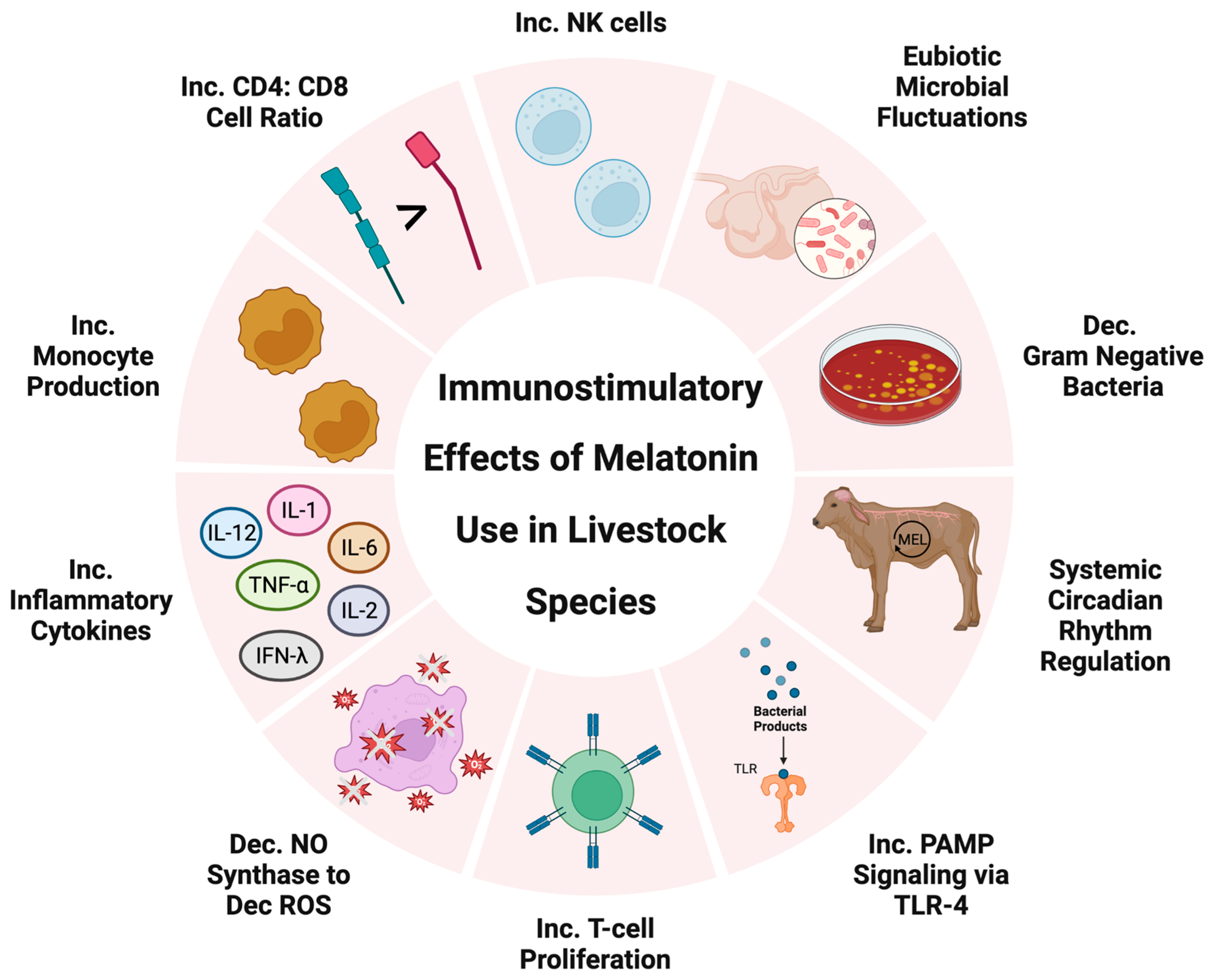 Biomolecules 13 00490 g001 Biomolecules 13 00490 g001