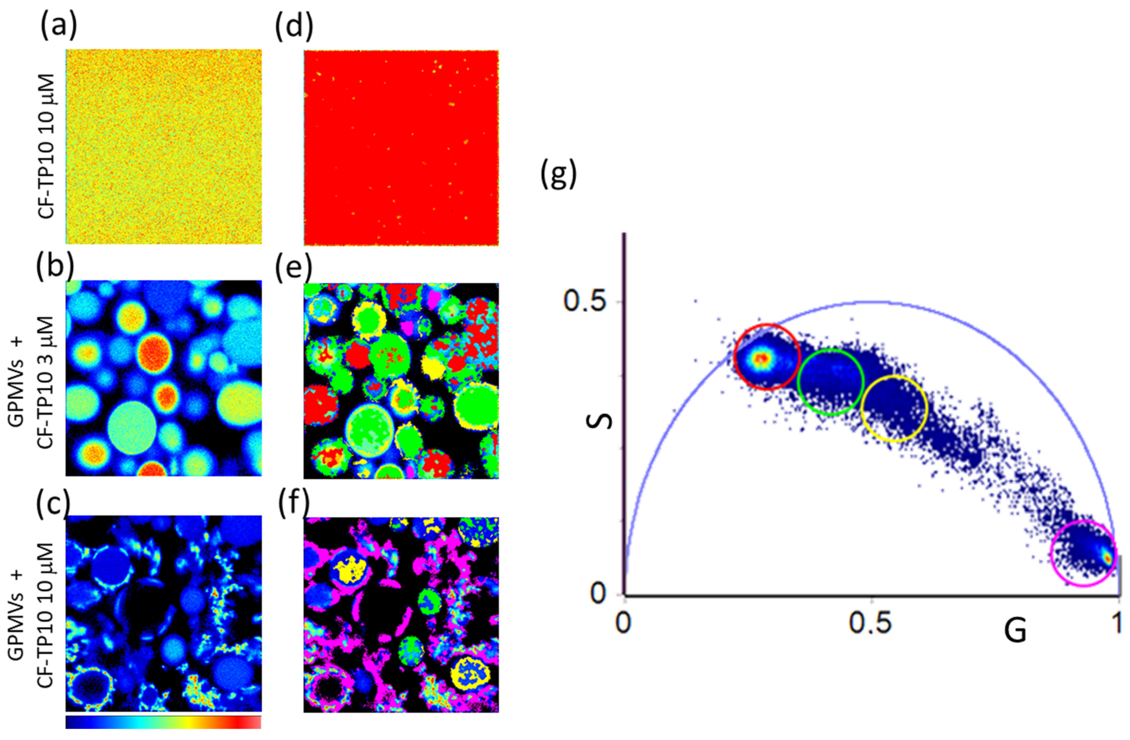 Biomolecules 13 00492 g003
