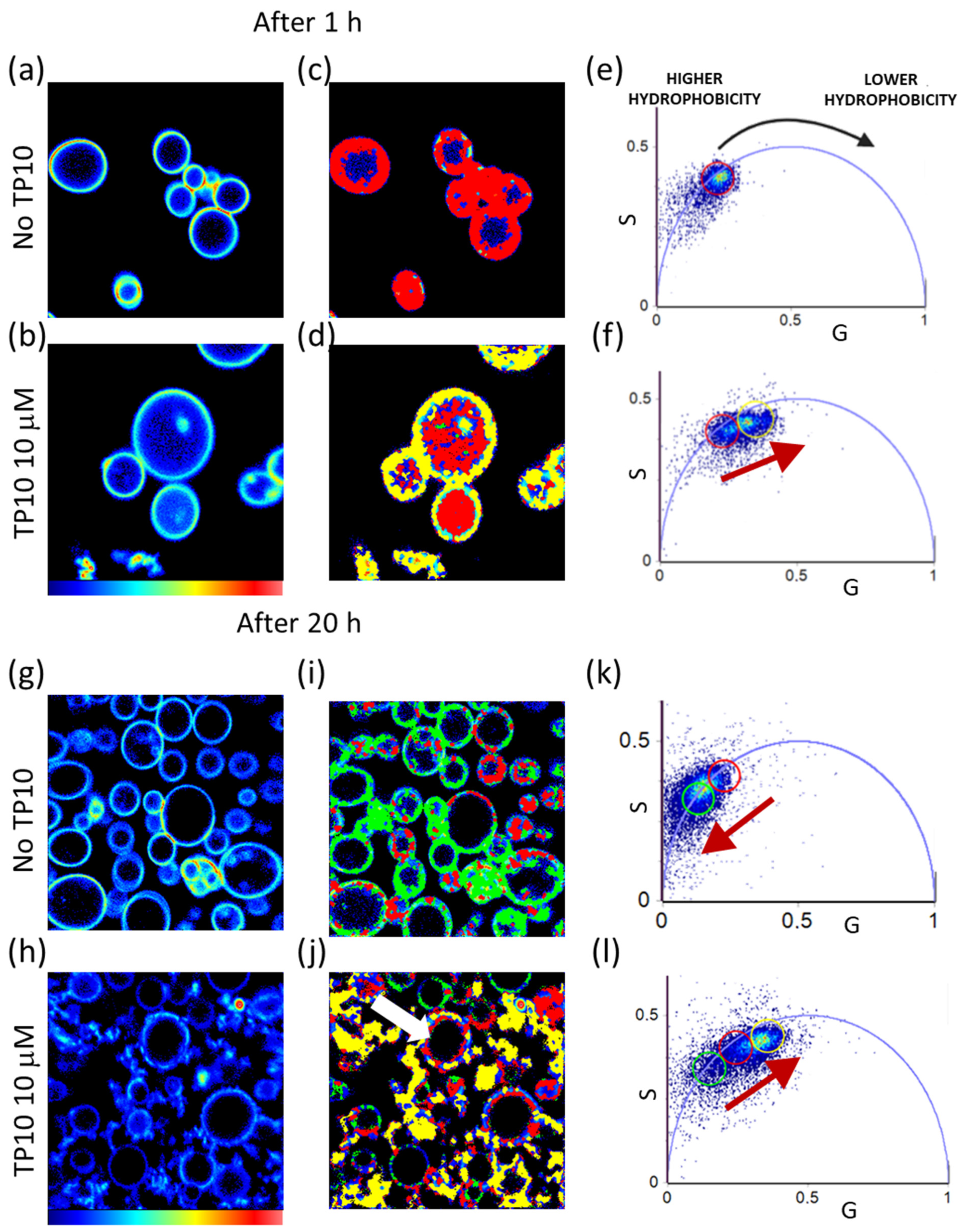 Biomolecules 13 00492 g004