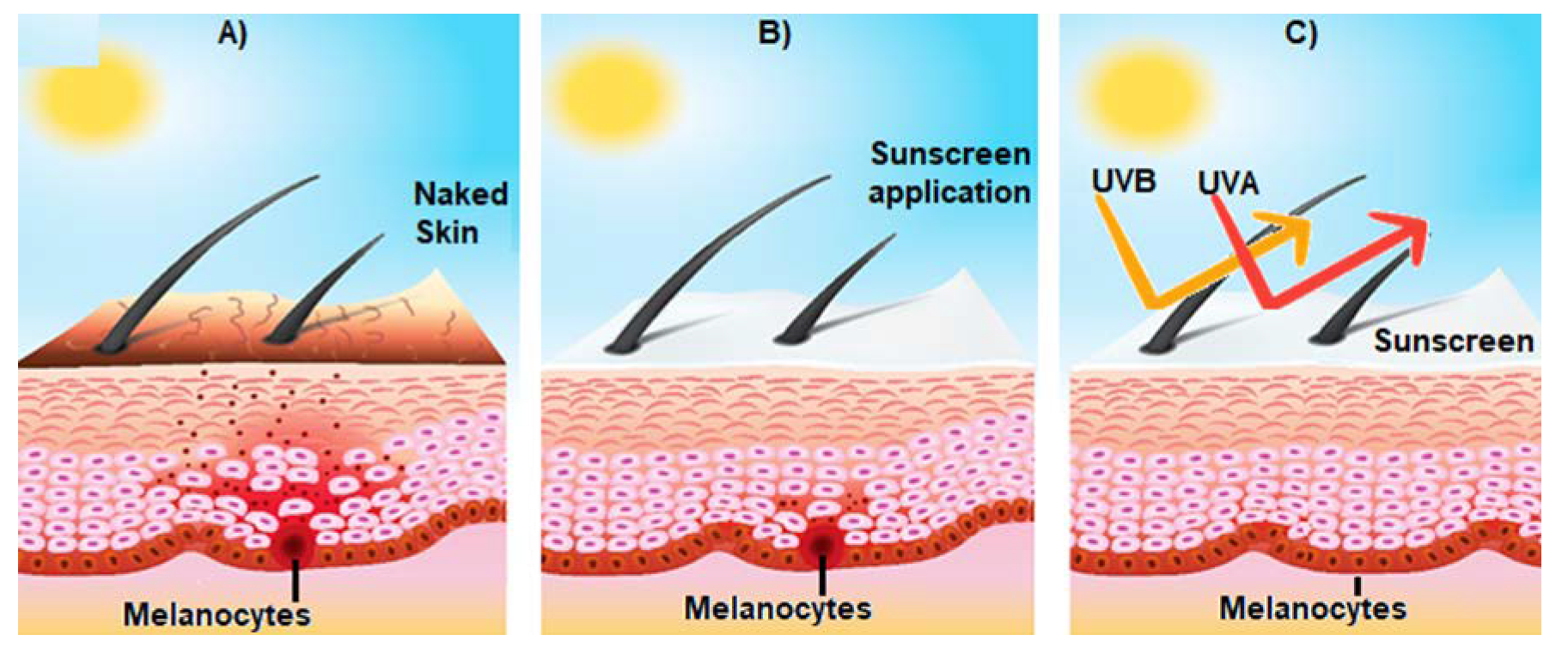 Sunscreens And UV Protection Encyclopedia MDPI sunscreens-and-uv-protection-encyclopedia-mdpi