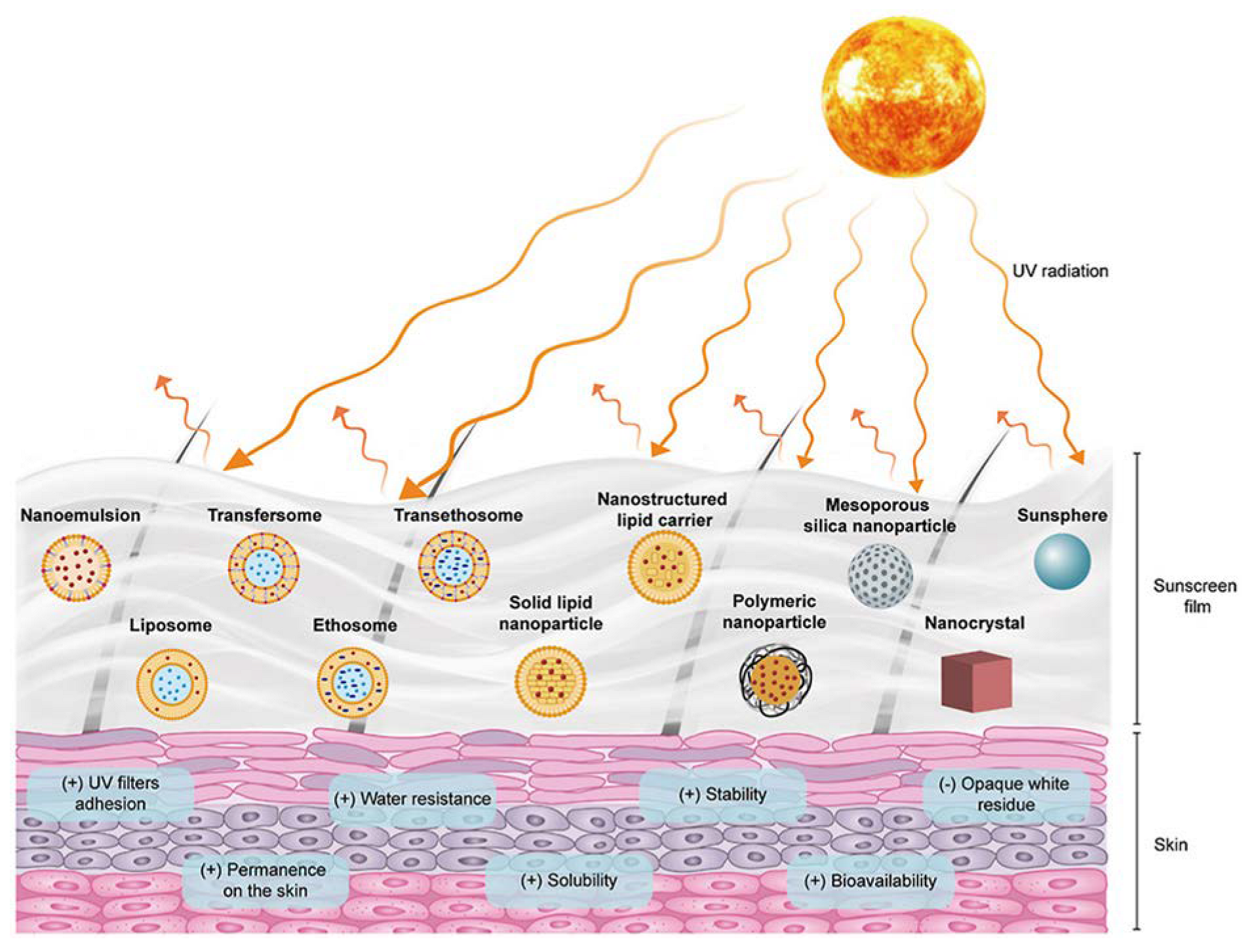 Biomolecules 13 00493 g005
