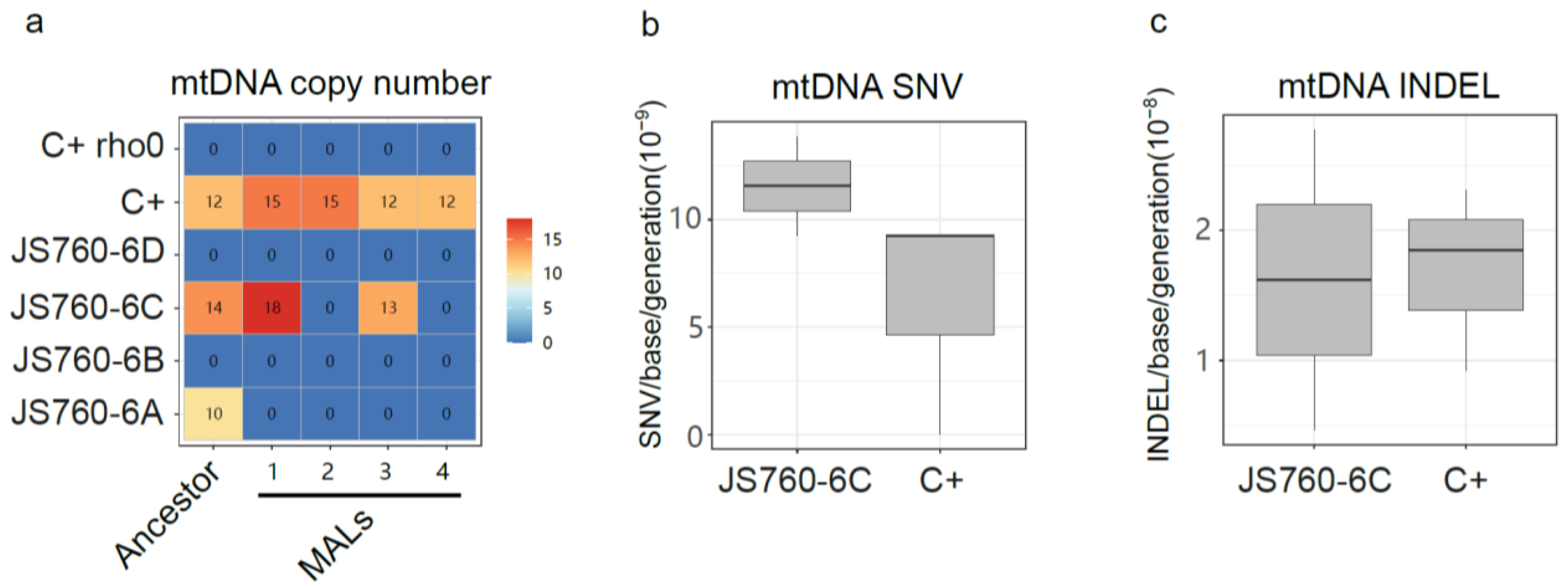 Biomolecules 13 00501 g005 Biomolecules 13 00501 g005