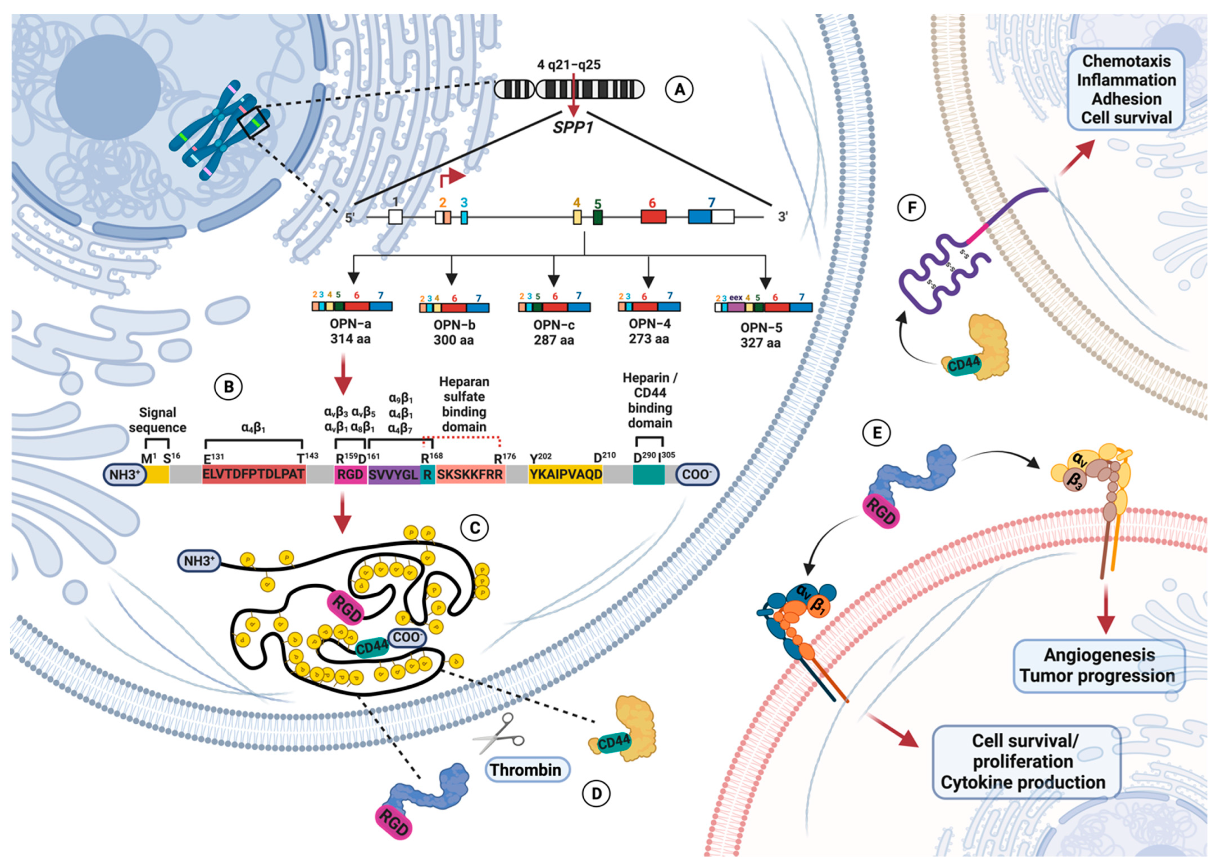 Biomolecules 13 00502 g001 Biomolecules 13 00502 g001