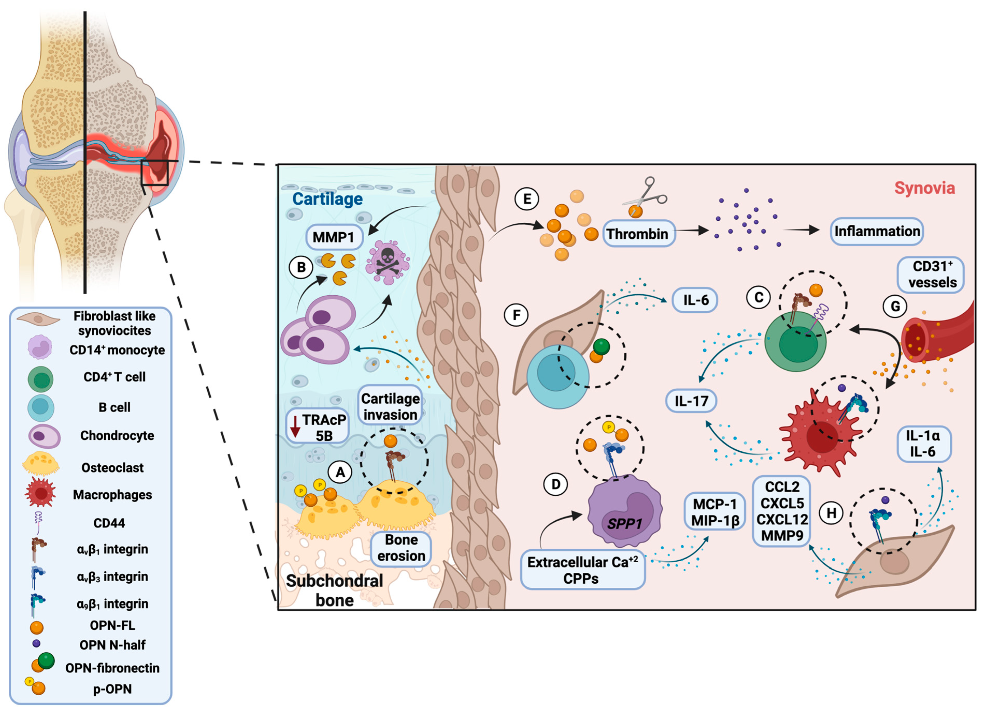 Biomolecules 13 00502 g002 Biomolecules 13 00502 g002