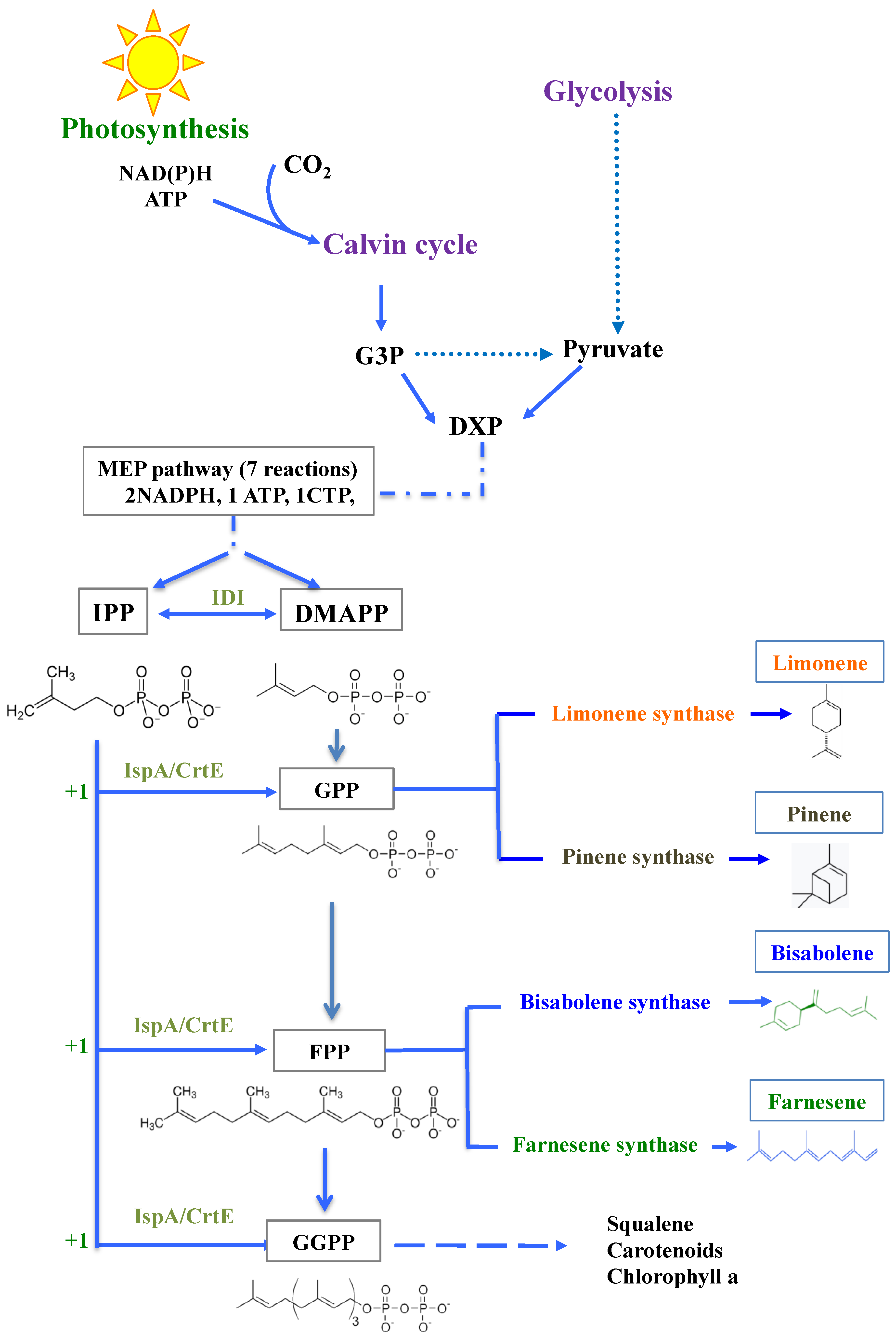 Biomolecules 13 00504 g001