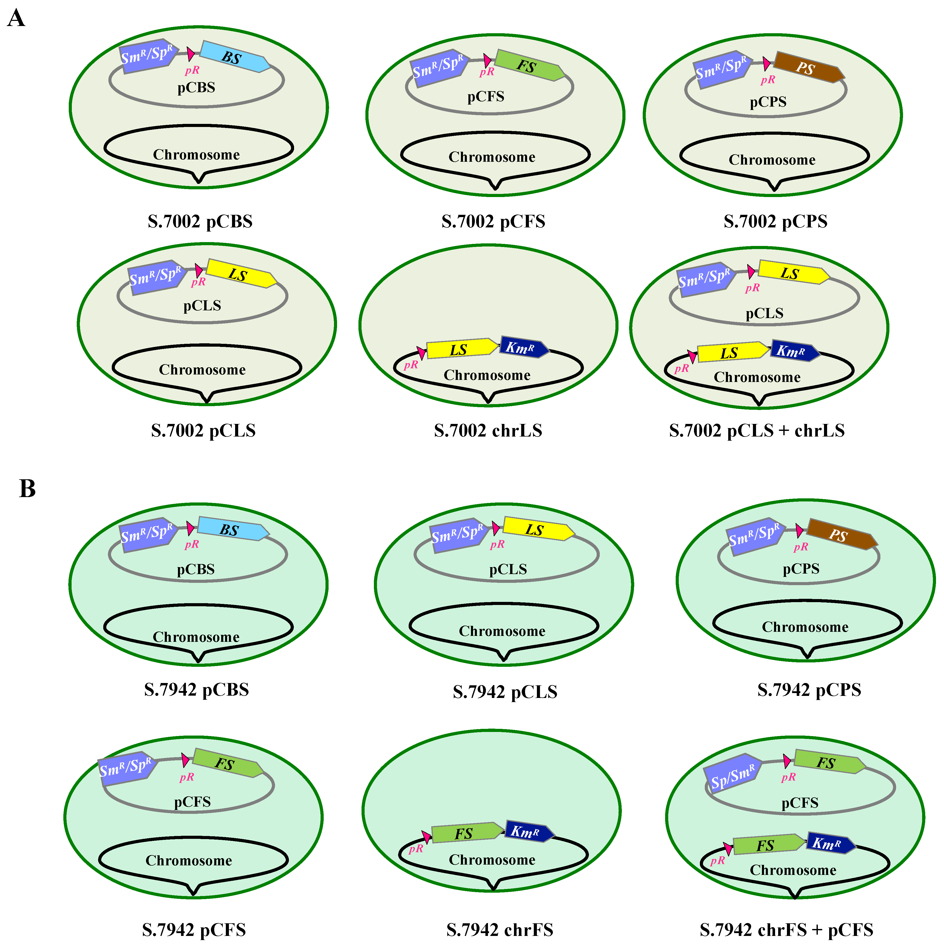 Biomolecules 13 00504 g002