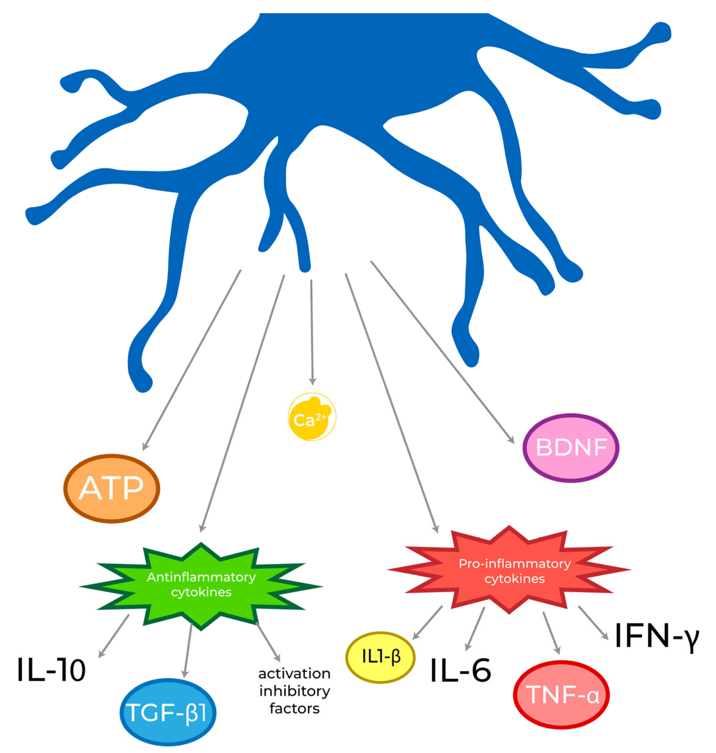 Biomolecules 13 00505 g002 Biomolecules 13 00505 g002