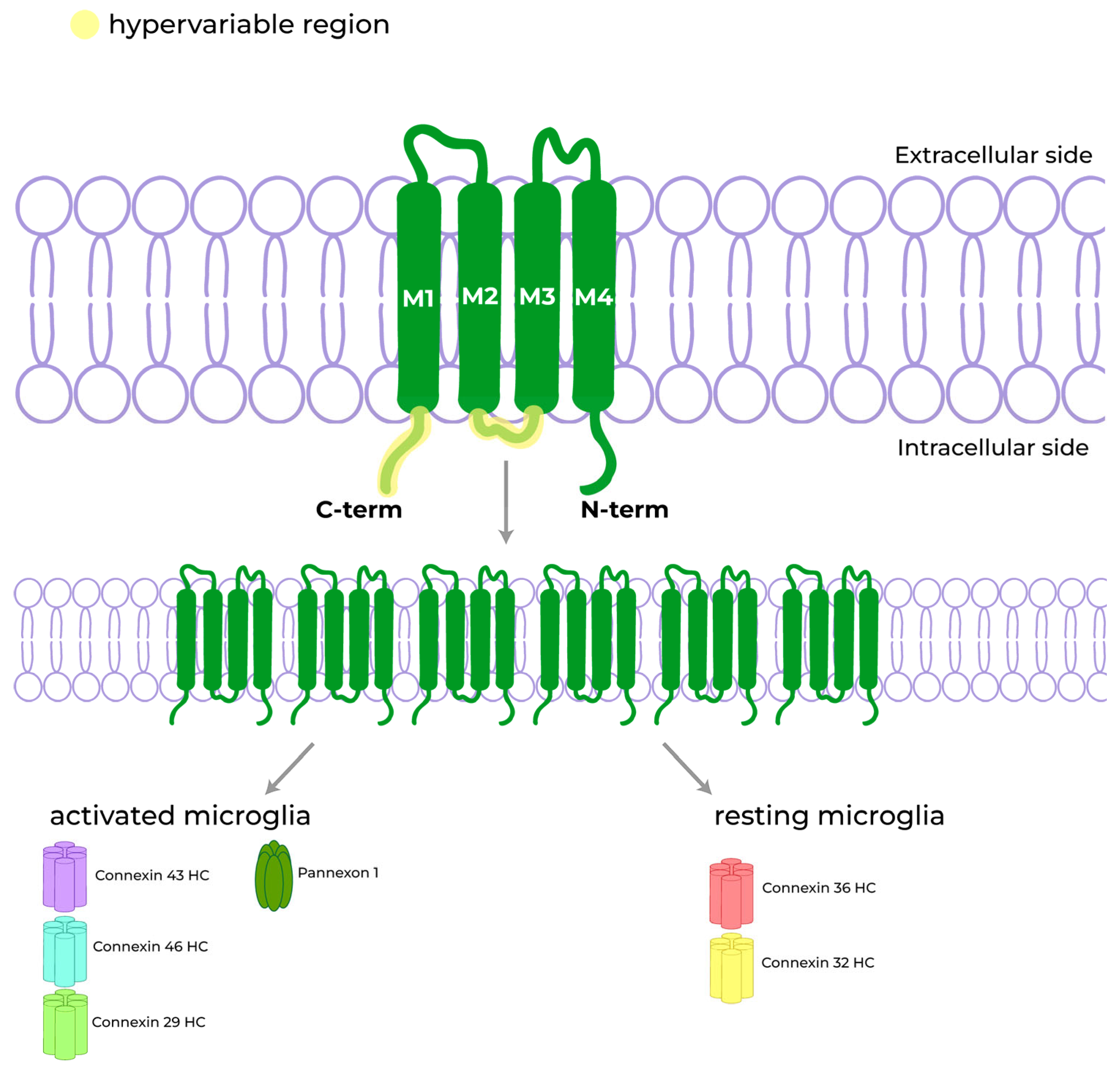 Biomolecules 13 00505 g003 Biomolecules 13 00505 g003