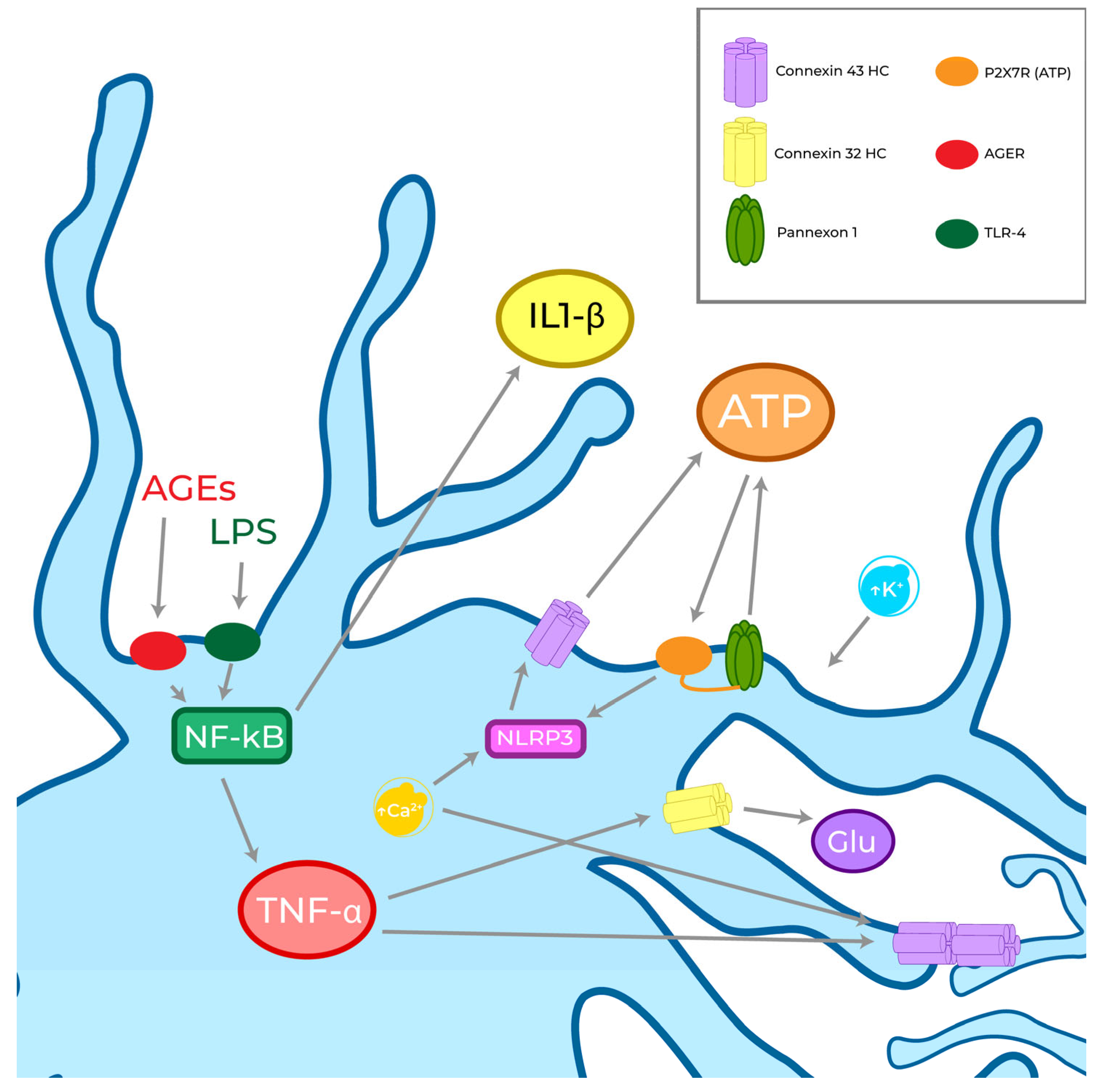 Biomolecules 13 00505 g004 Biomolecules 13 00505 g004