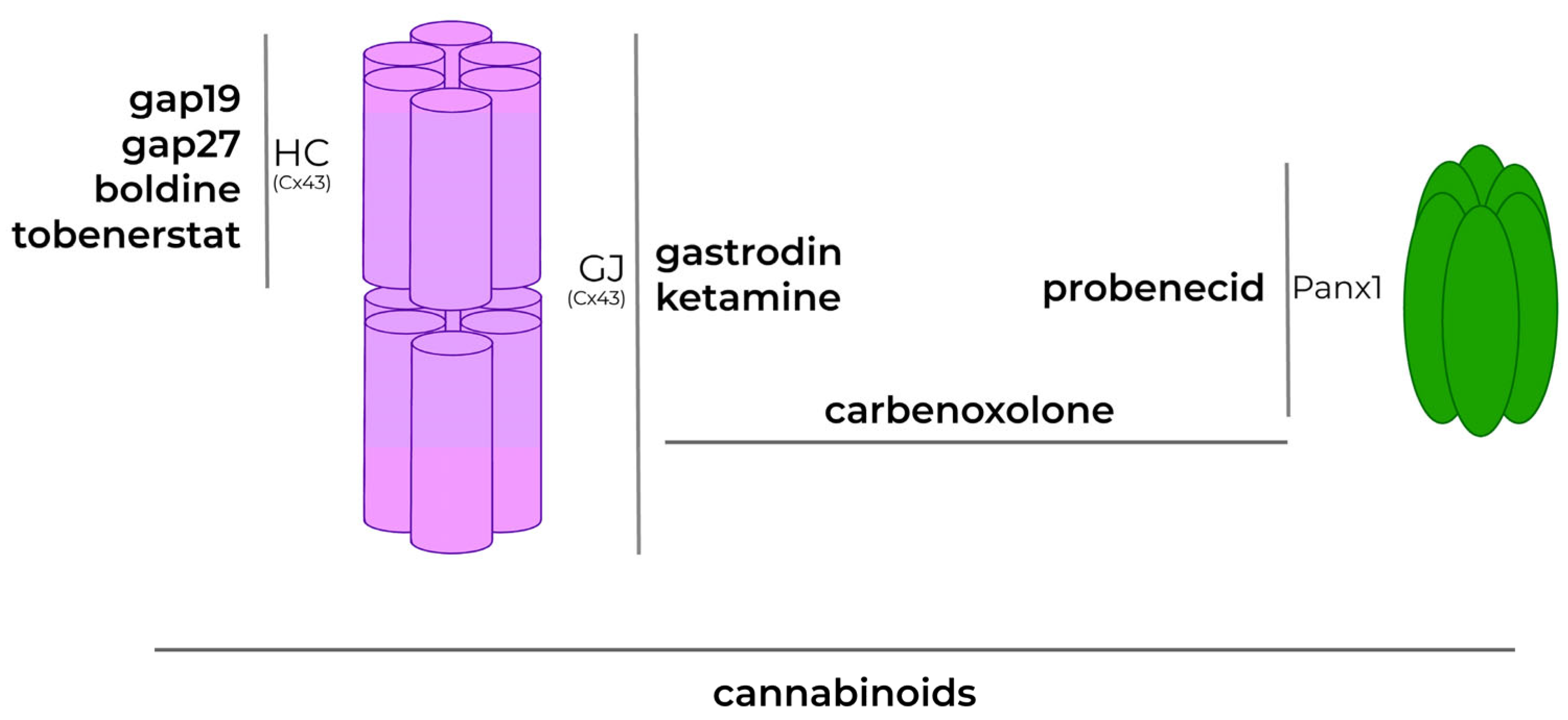 Biomolecules 13 00505 g006 Biomolecules 13 00505 g006