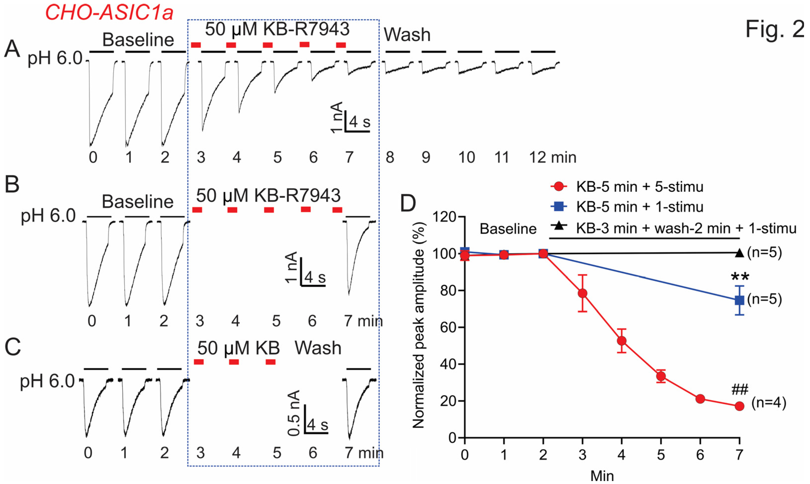 Biomolecules 13 00507 g002