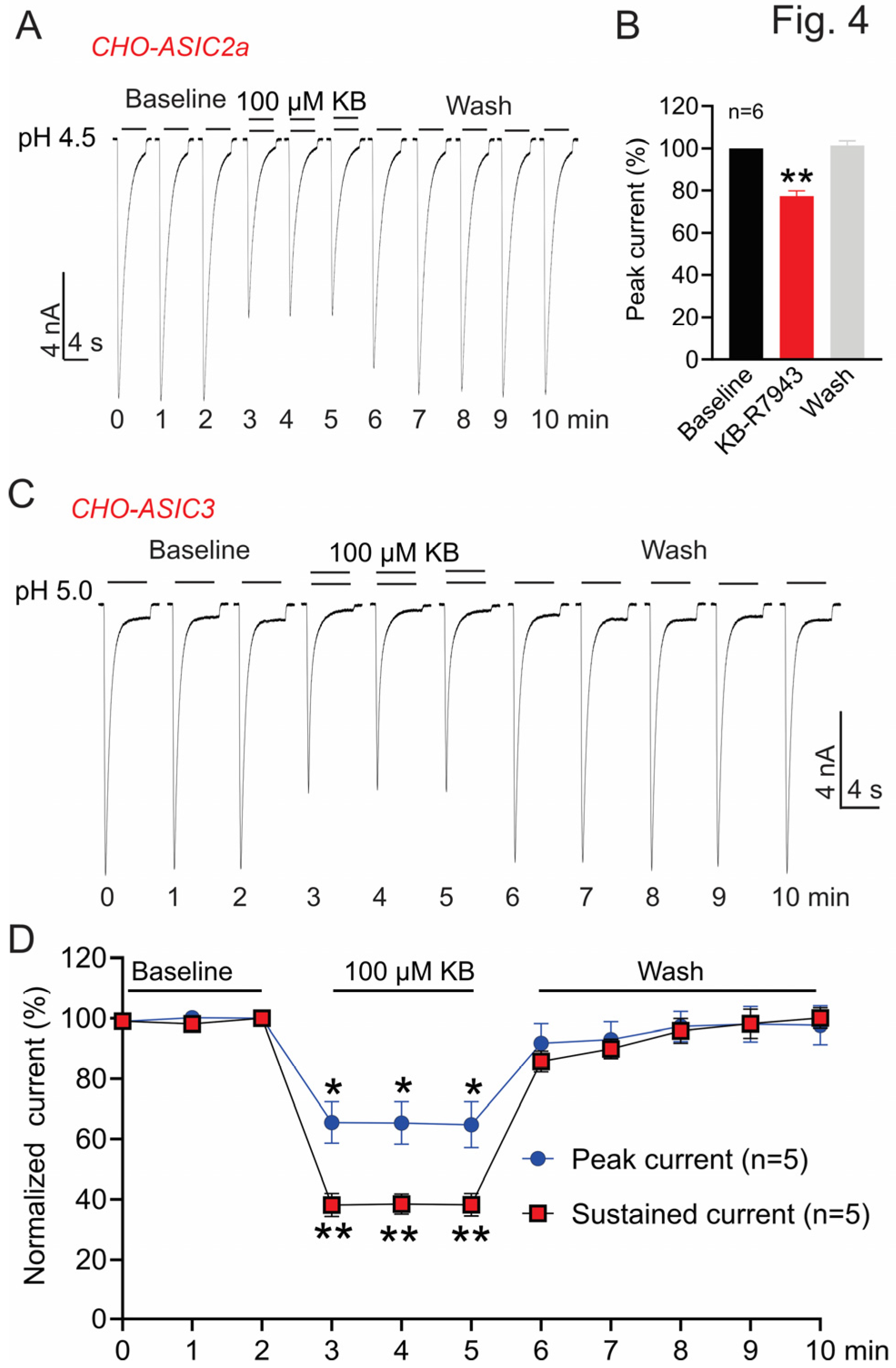 Biomolecules 13 00507 g004