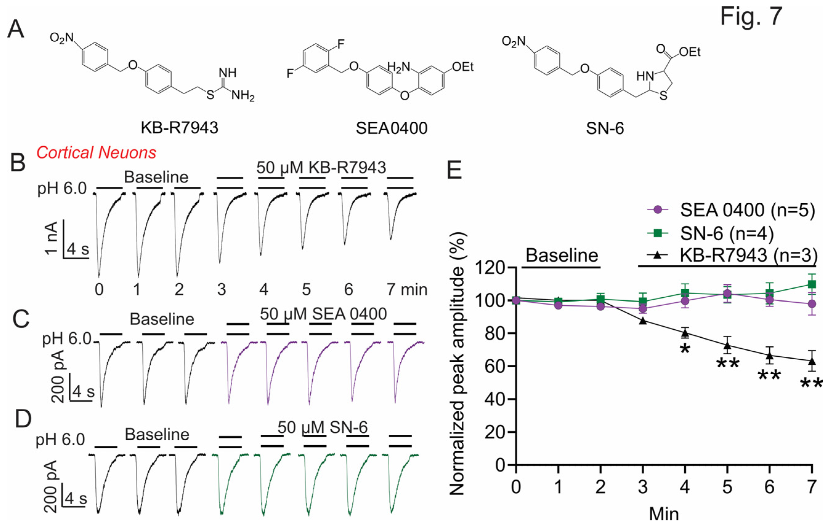 Biomolecules 13 00507 g007