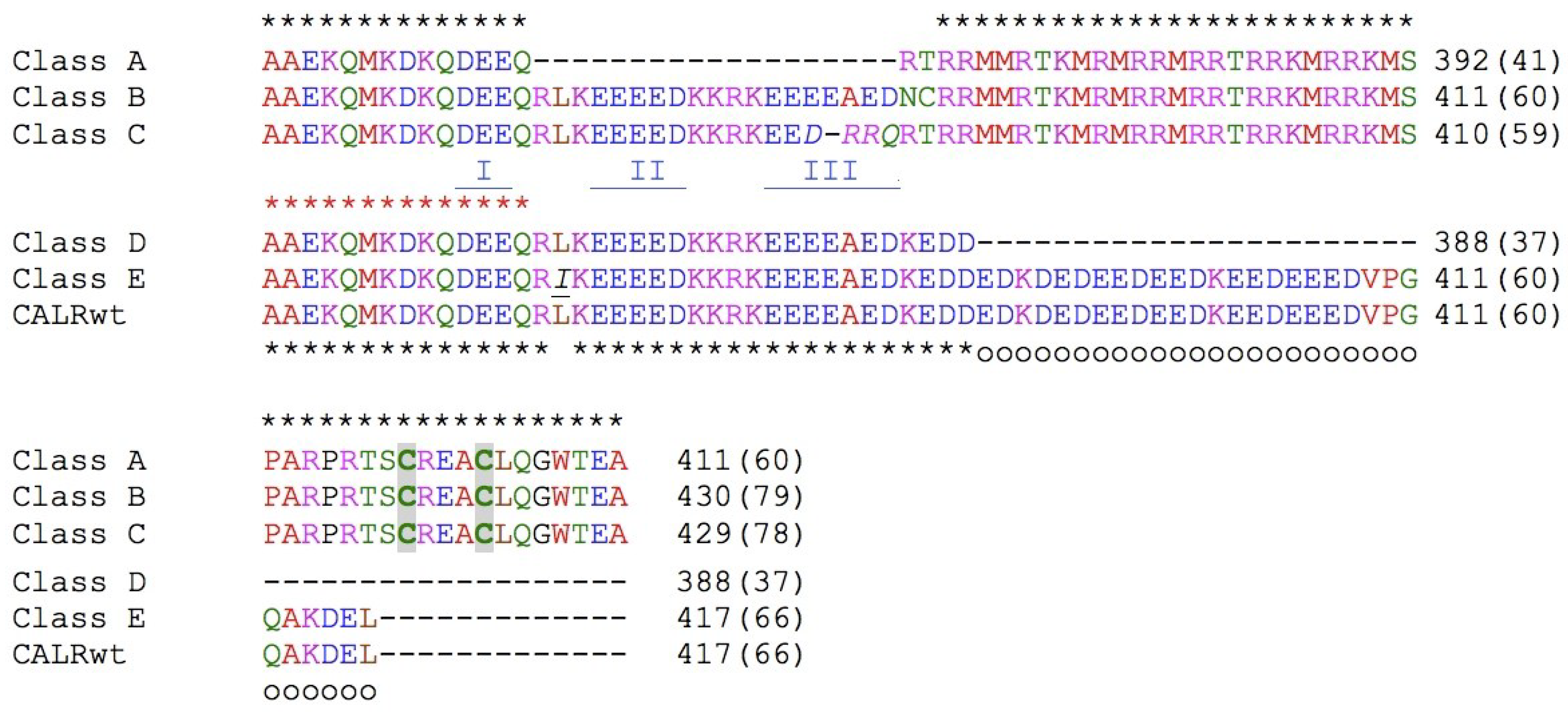Biomolecules 13 00509 g001