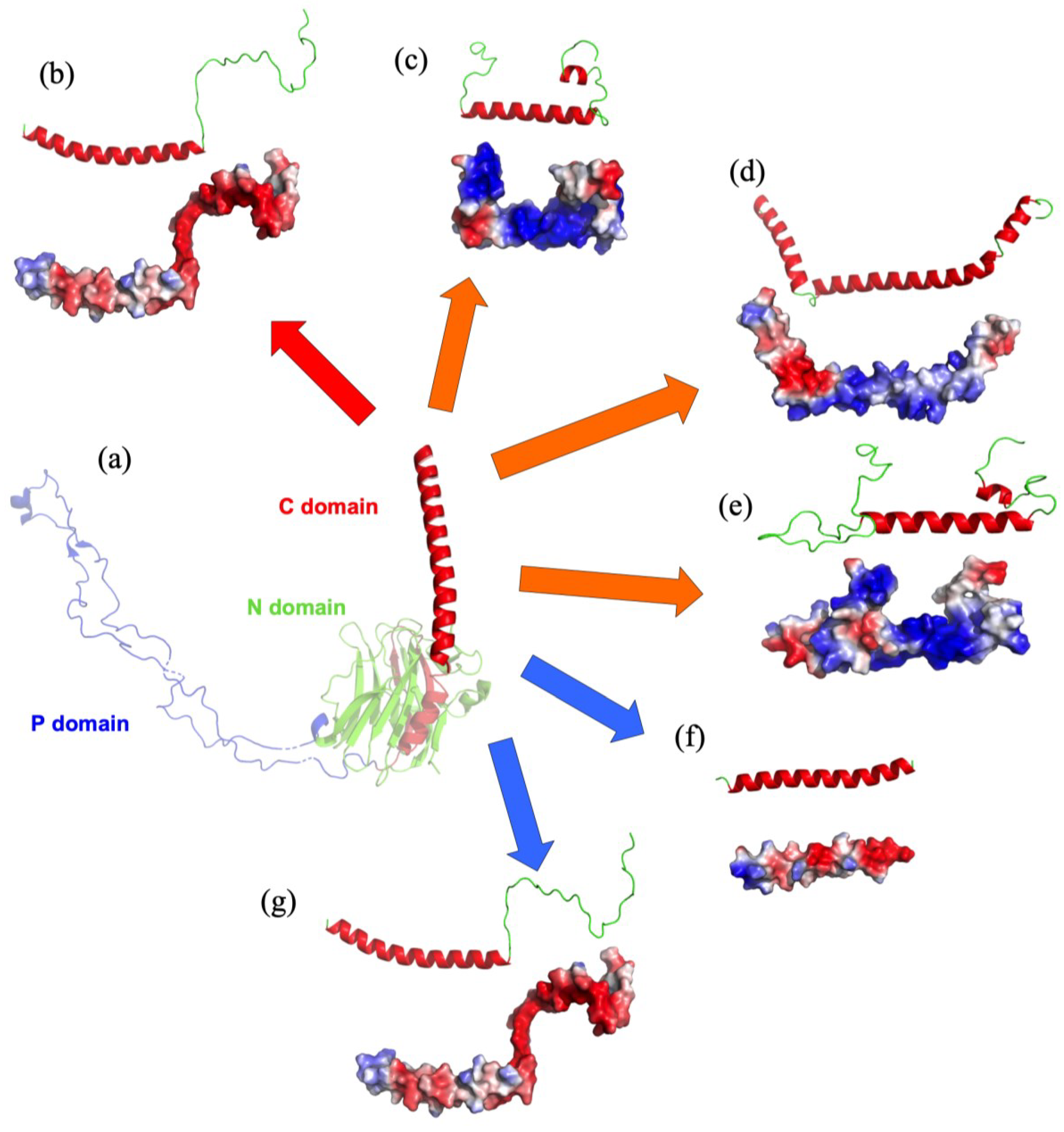 Biomolecules 13 00509 g002