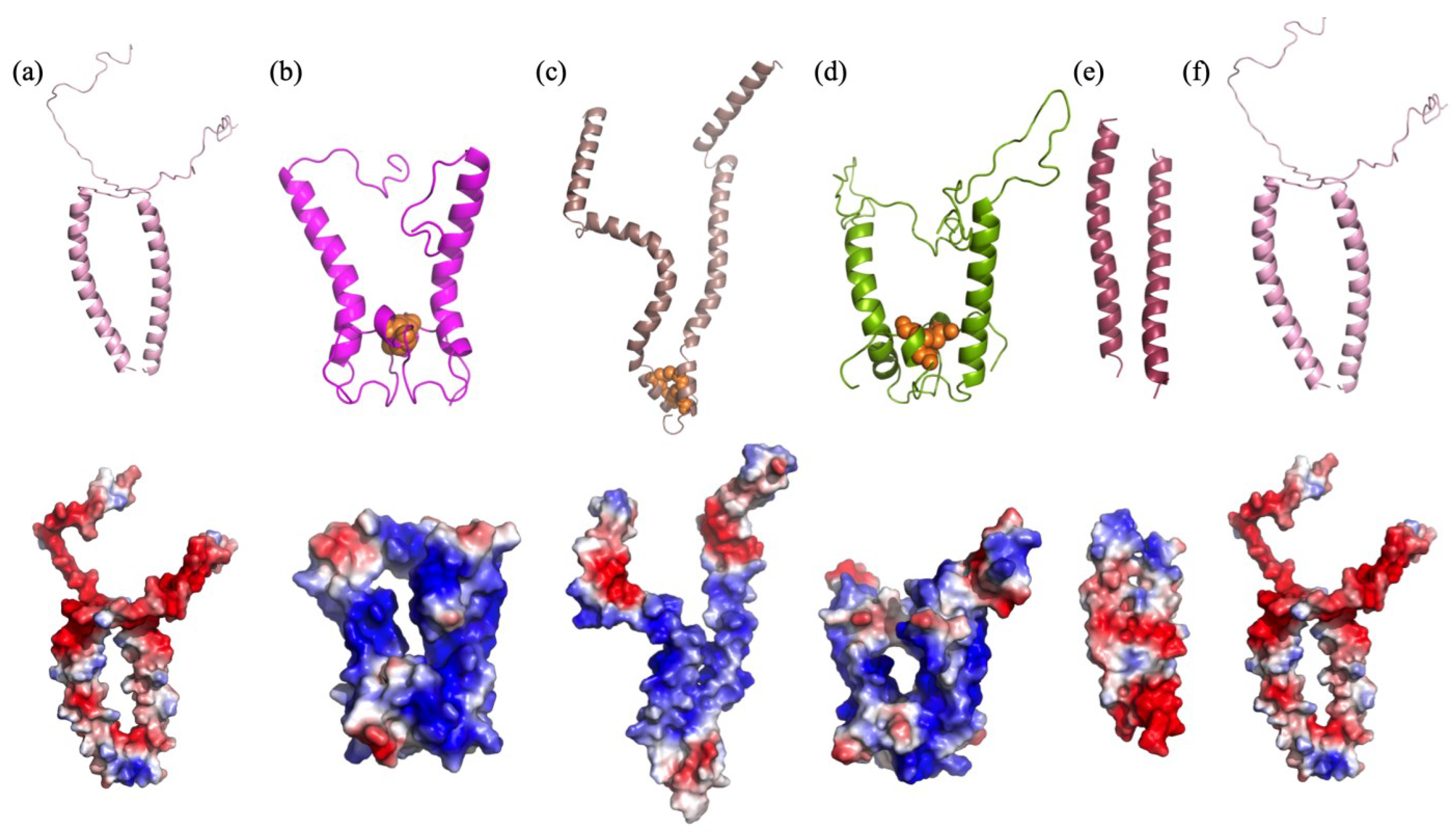 Biomolecules 13 00509 g006
