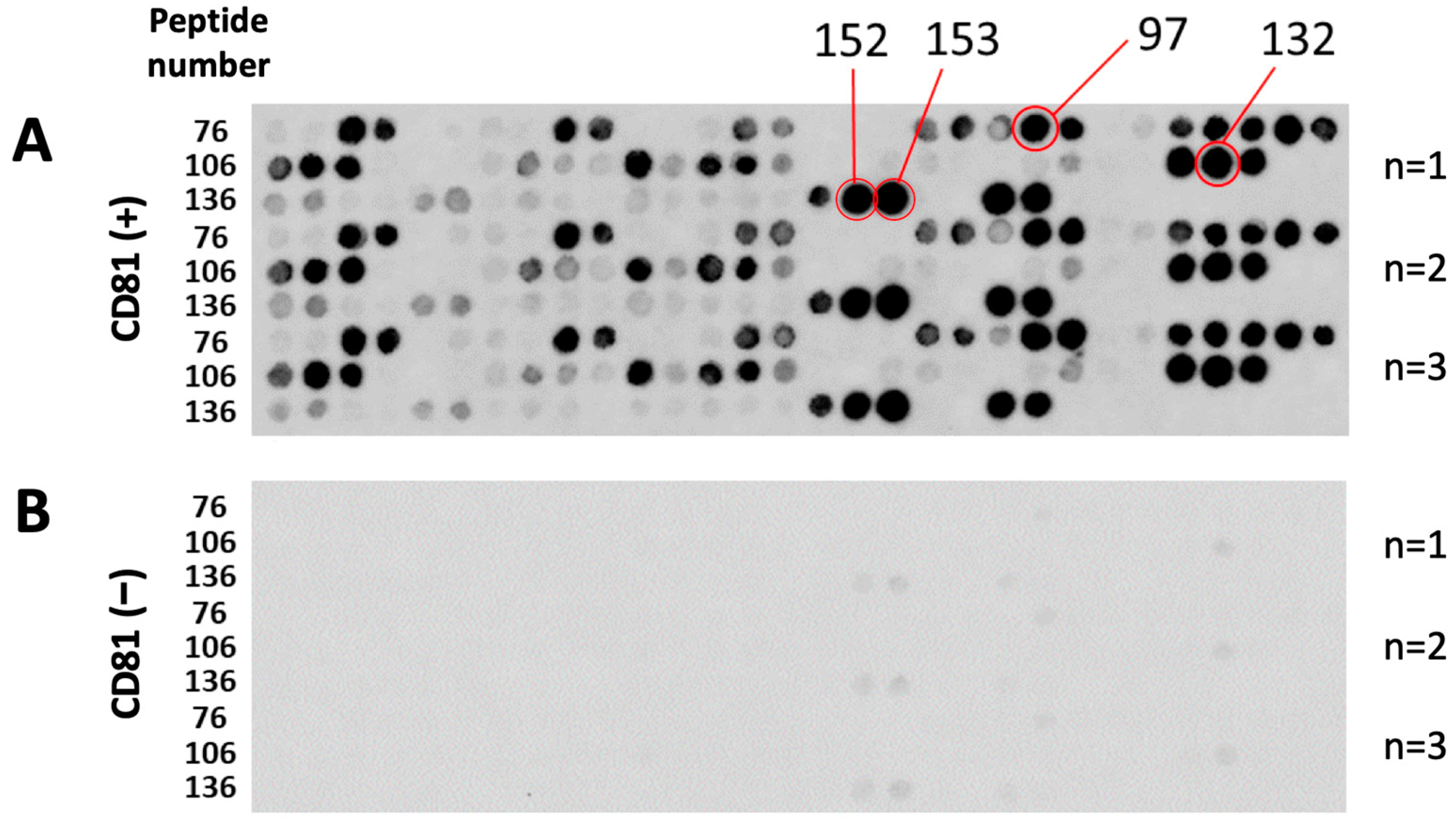 Biomolecules 13 00510 g001 Biomolecules 13 00510 g001
